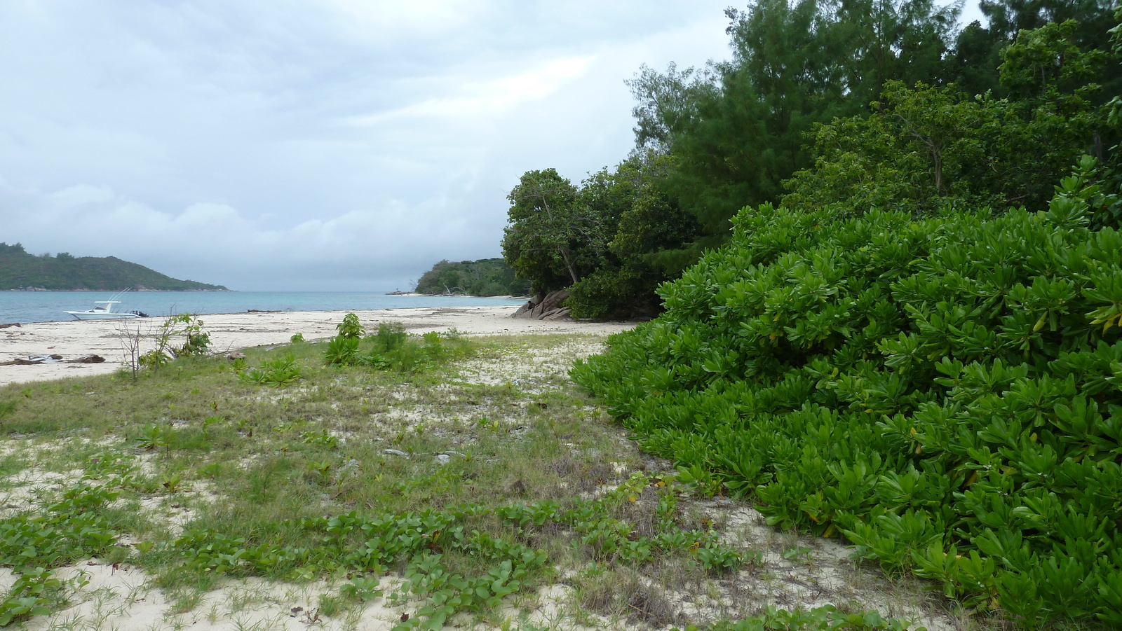 照片 塞舌尔(Seychelles) 居里厄斯岛(Curieuse) 2011-10 7