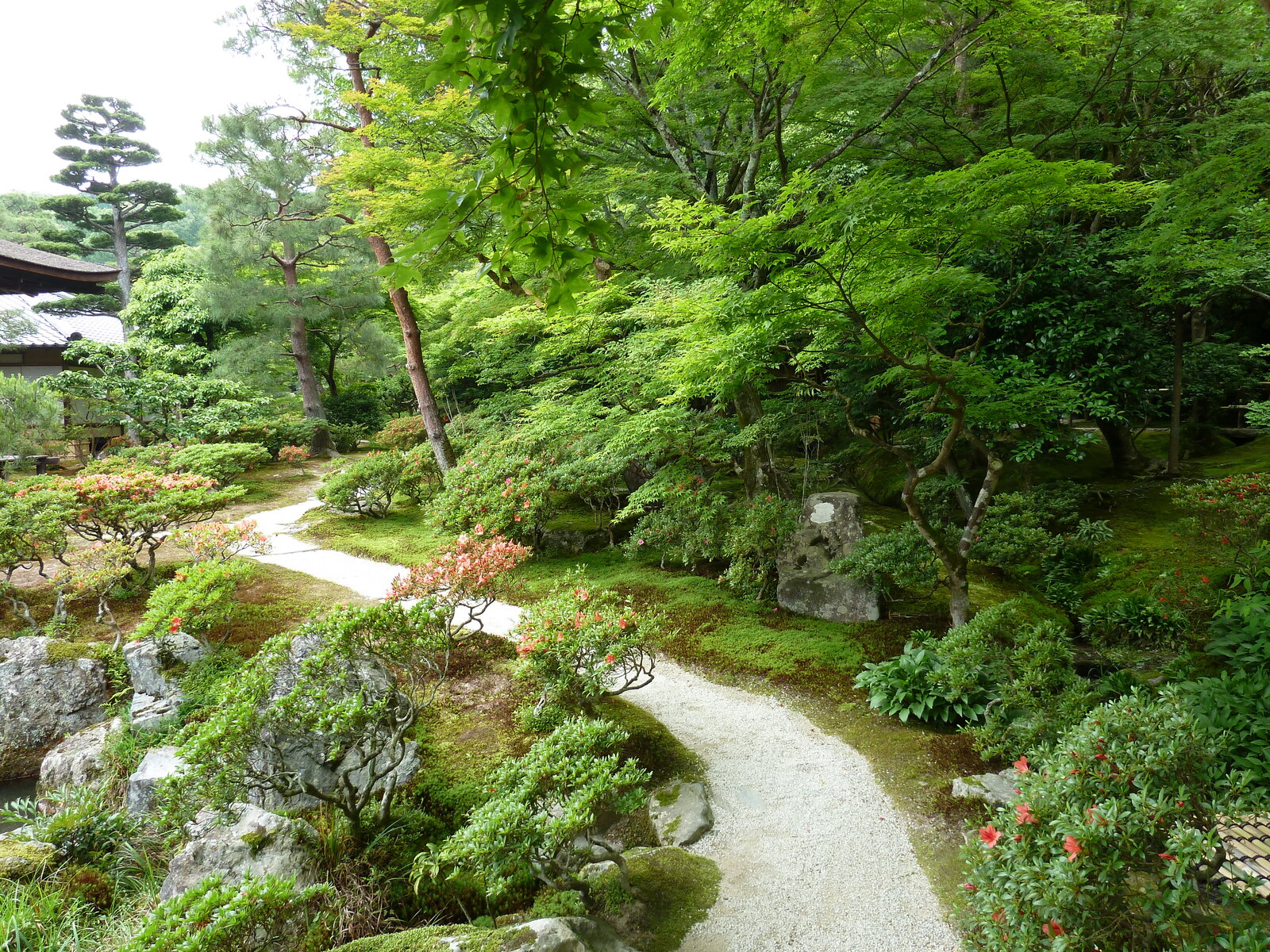 照片 日本(Japan) 京都(Kyoto) 银阁寺(Ginkakuji Temple(Silver Pavilion)) 2010-06 55