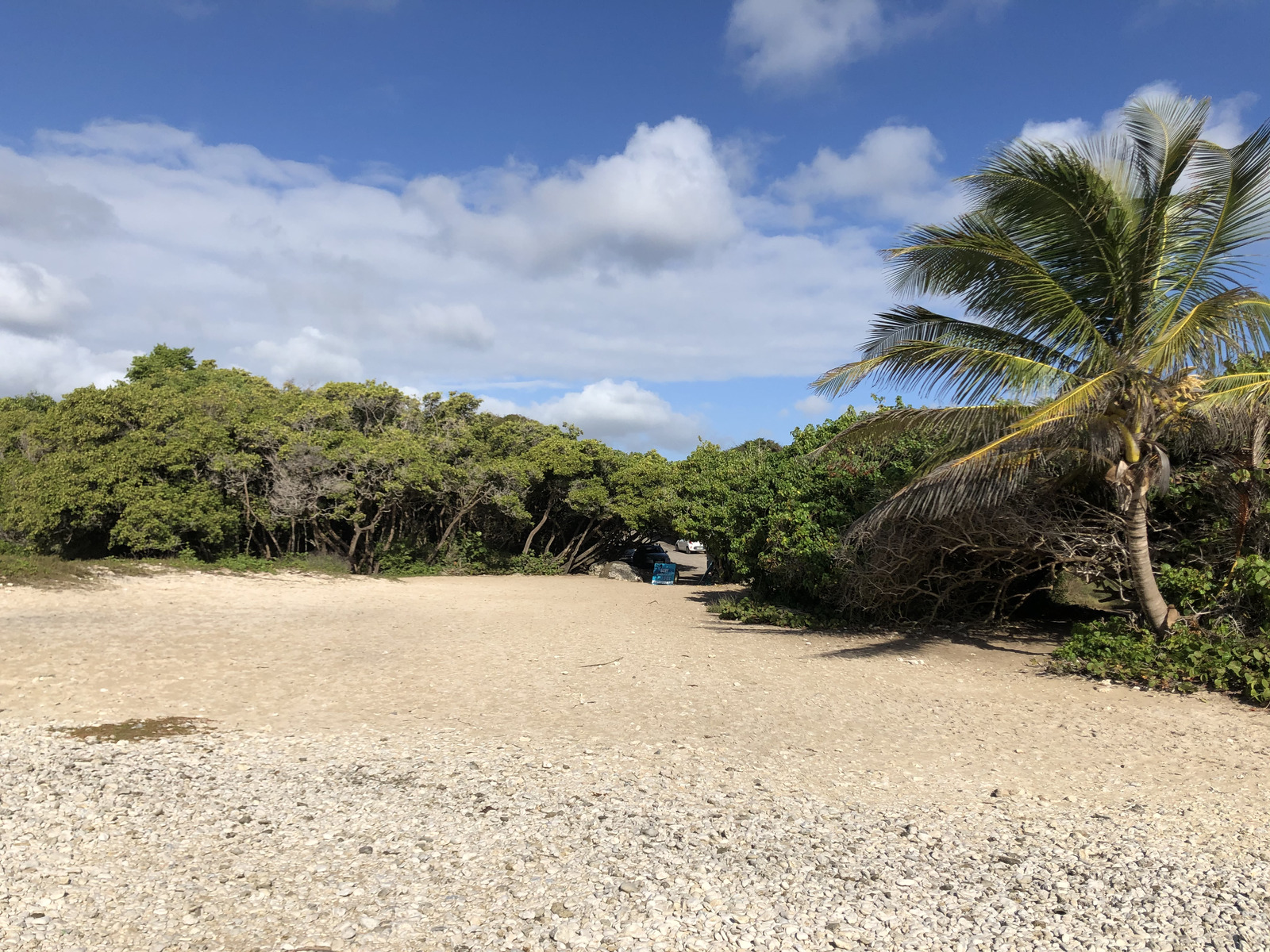 照片 瓜德罗普(Guadeloupe) 圣安妮(Sainte Anne) 2021-02 113