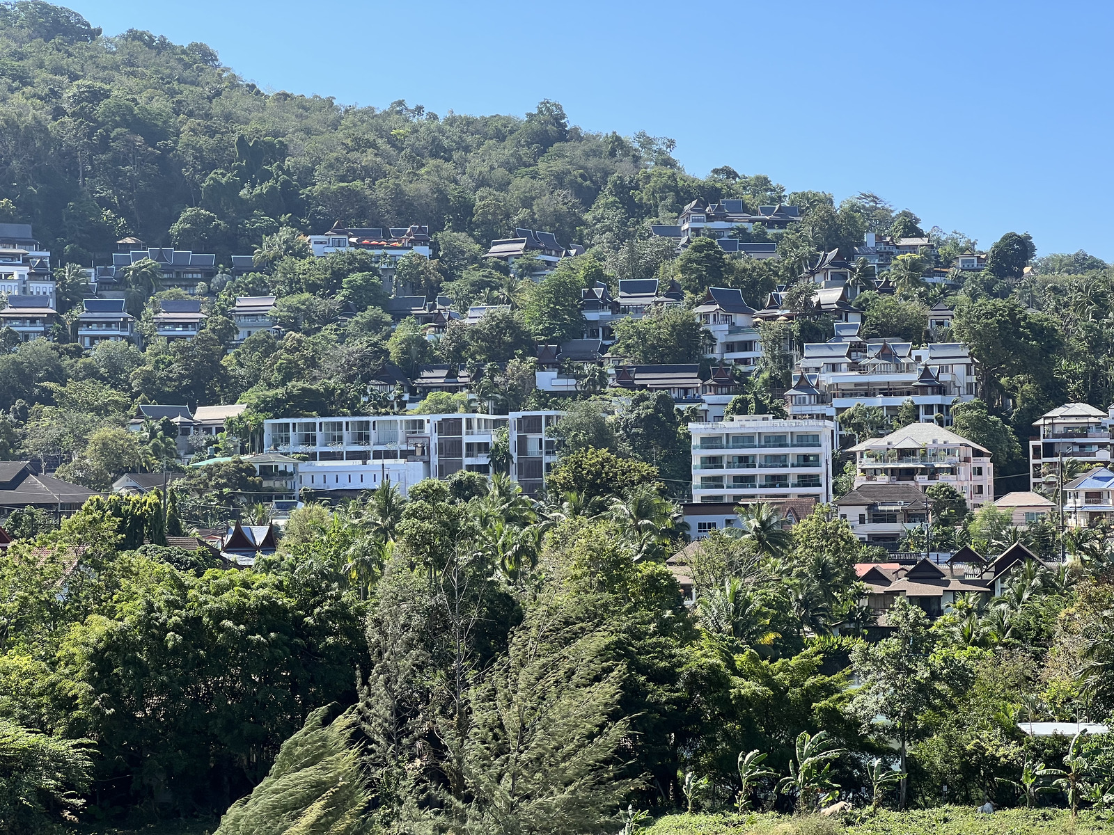 照片 泰国(Thailand) 普吉岛(Phuket) 苏林海滩(Surin Beach) 阿里斯托度假村(The Aristo Resort) 2021-12 20
