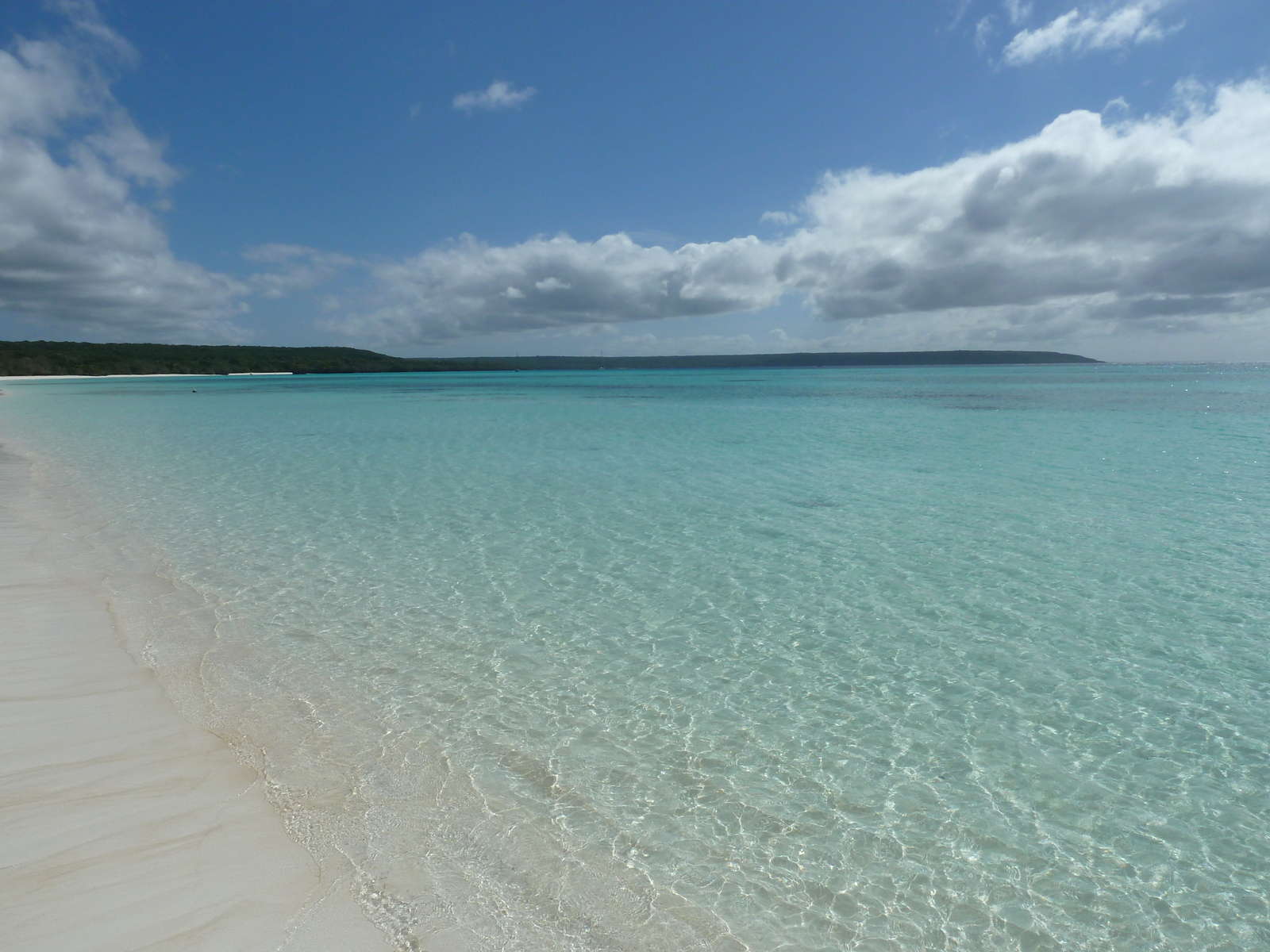 照片 新喀里多尼亚(New Caledonia) 利富岛(Lifou) 卢恩戈尼海滩(Luengoni Beach) 2010-05 39