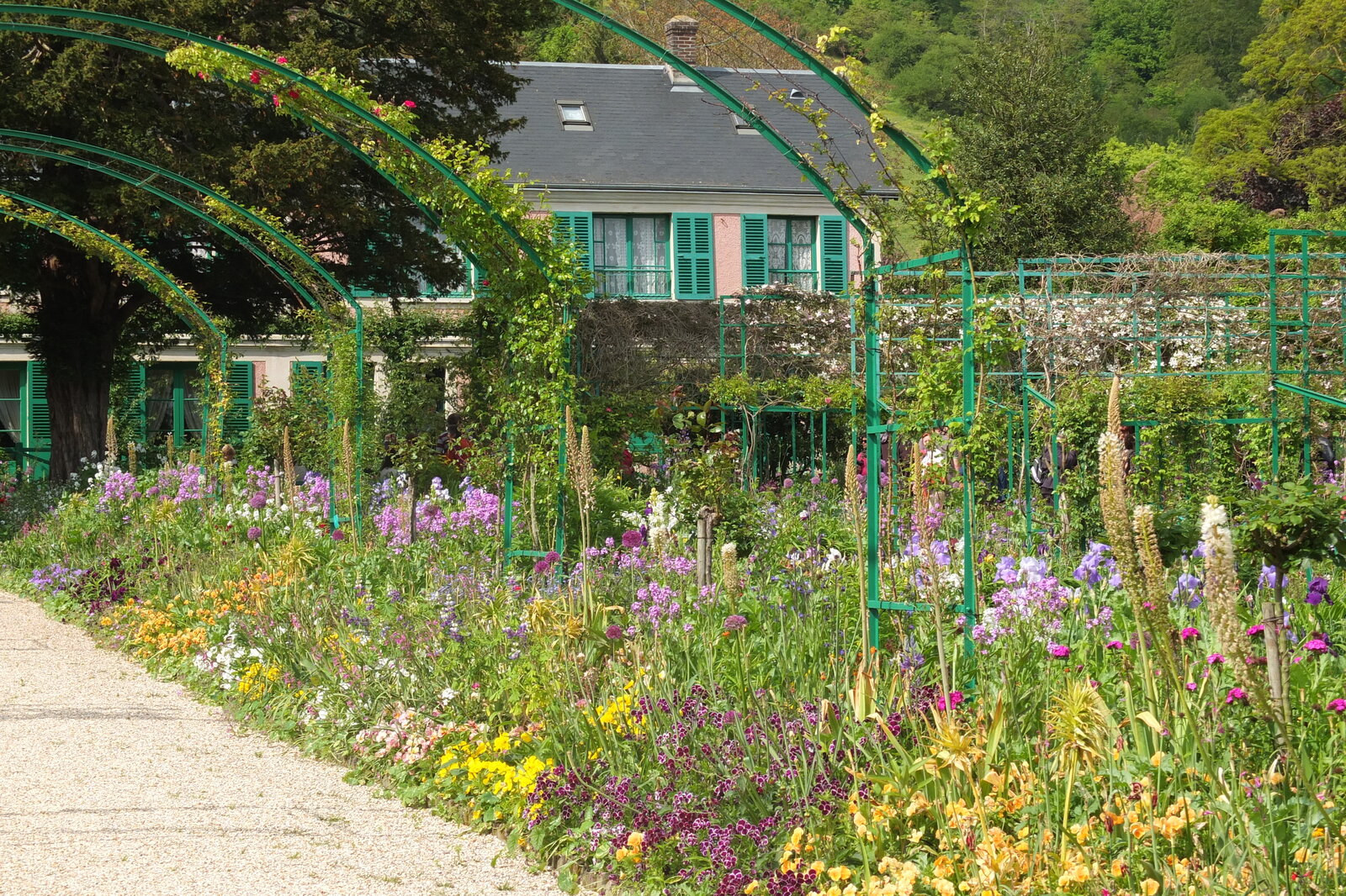 照片 法国(France) 吉维尼(Giverny) 2013-06 188
