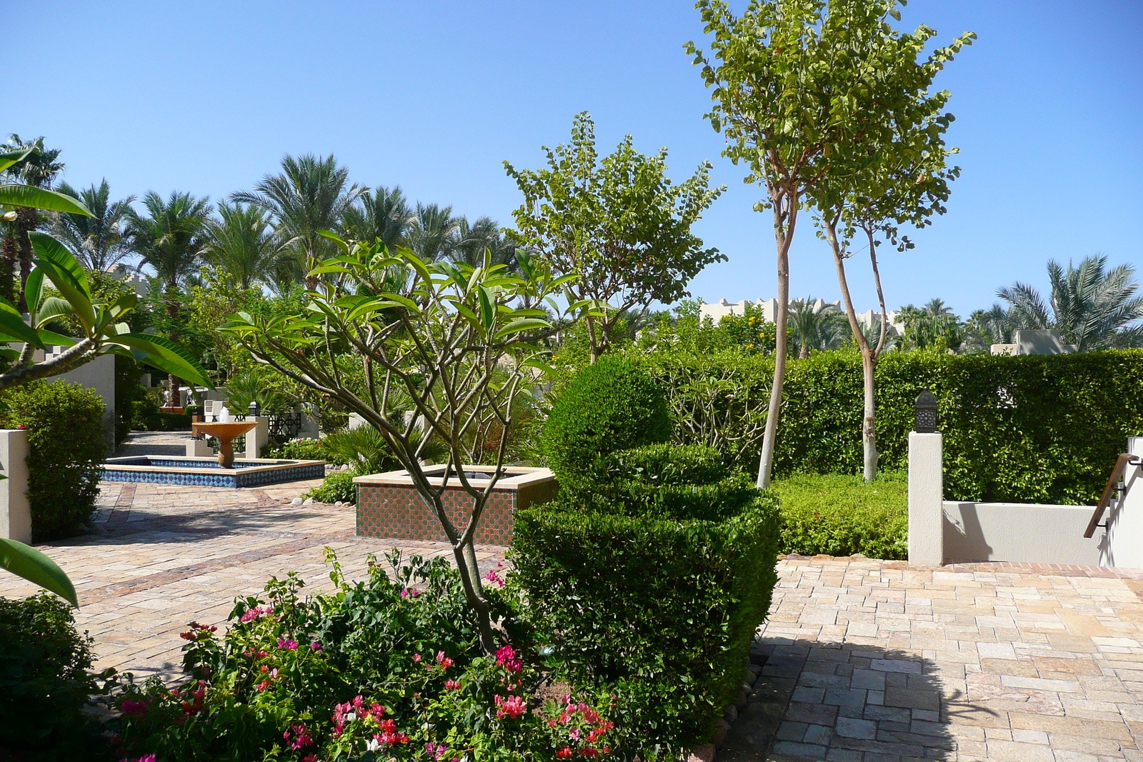 照片 埃及(Egypt) 沙姆沙伊赫(Sharm el Sheikh) 四季酒店(Four Seasons Hotel) 2008-06 65