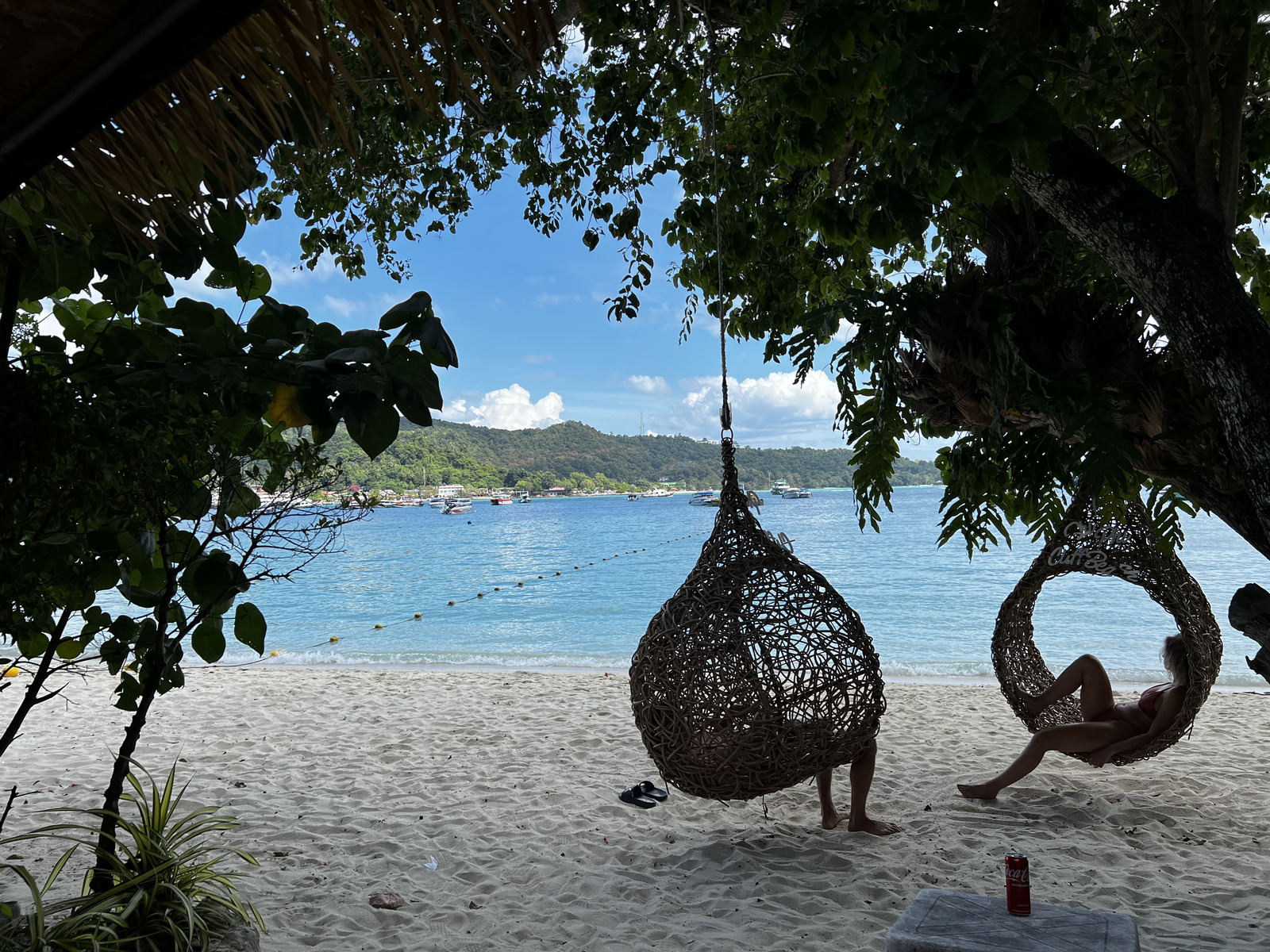 照片 泰国(Thailand) 大皮皮岛(Ko Phi Phi Don) 2021-12 95