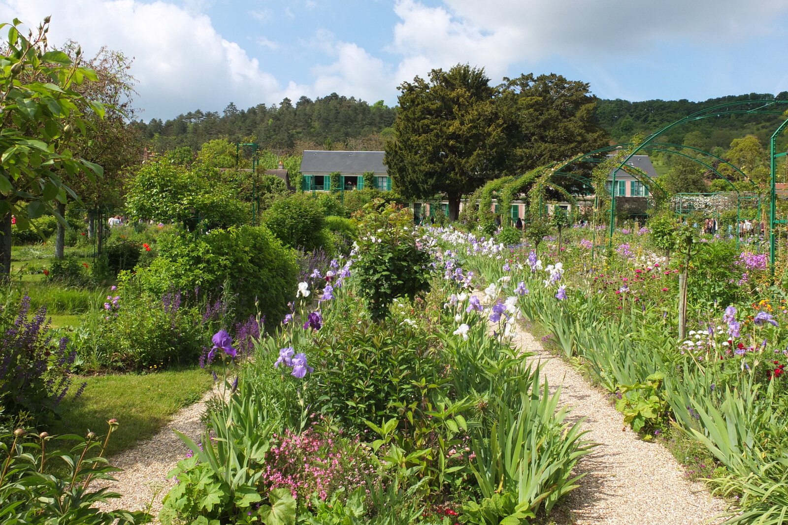 照片 法国(France) 吉维尼(Giverny) 2013-06 64