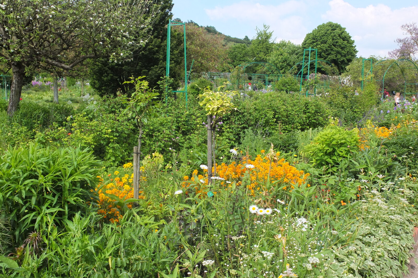 照片 法国(France) 吉维尼(Giverny) 2013-06 88