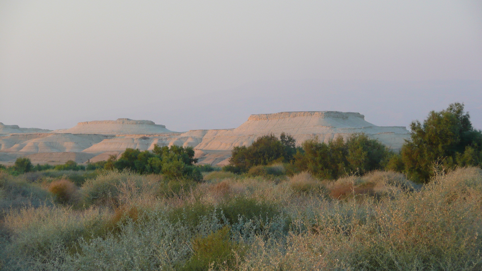 照片 以色列(Israel) 死海(Dead Sea) 2007-06 60