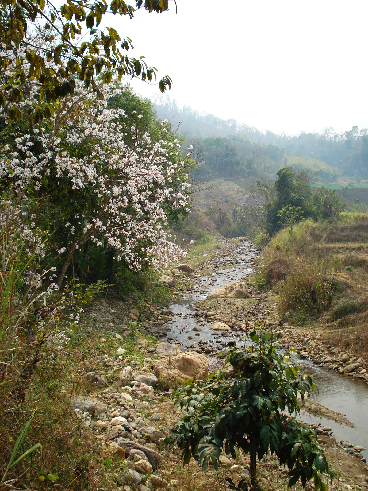 照片 泰国(Thailand) 邦玛帕至拜县公路(Pang Mapha to Pai road) 2007-02 10