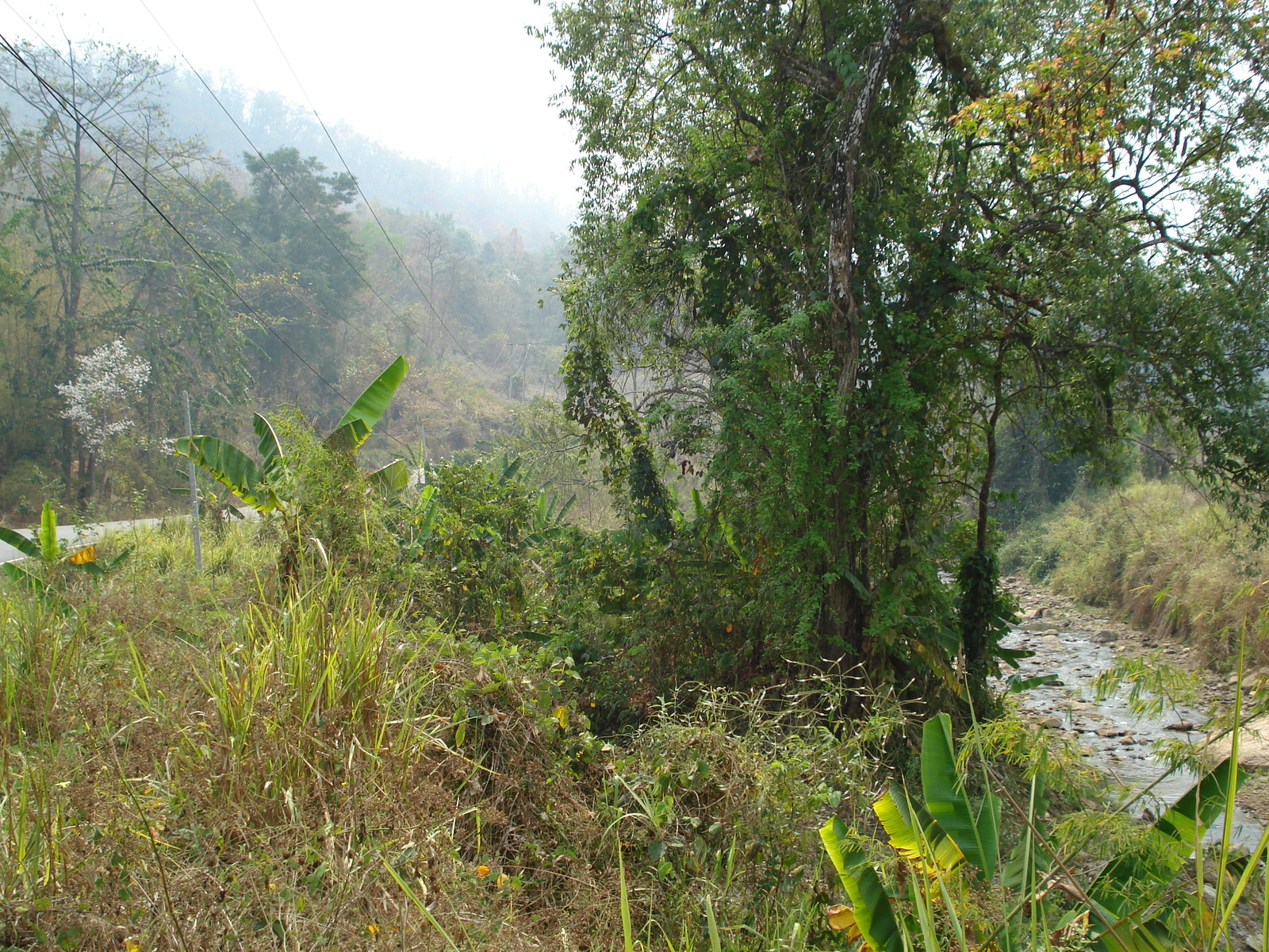 照片 泰国(Thailand) 邦玛帕至拜县公路(Pang Mapha to Pai road) 2007-02 86