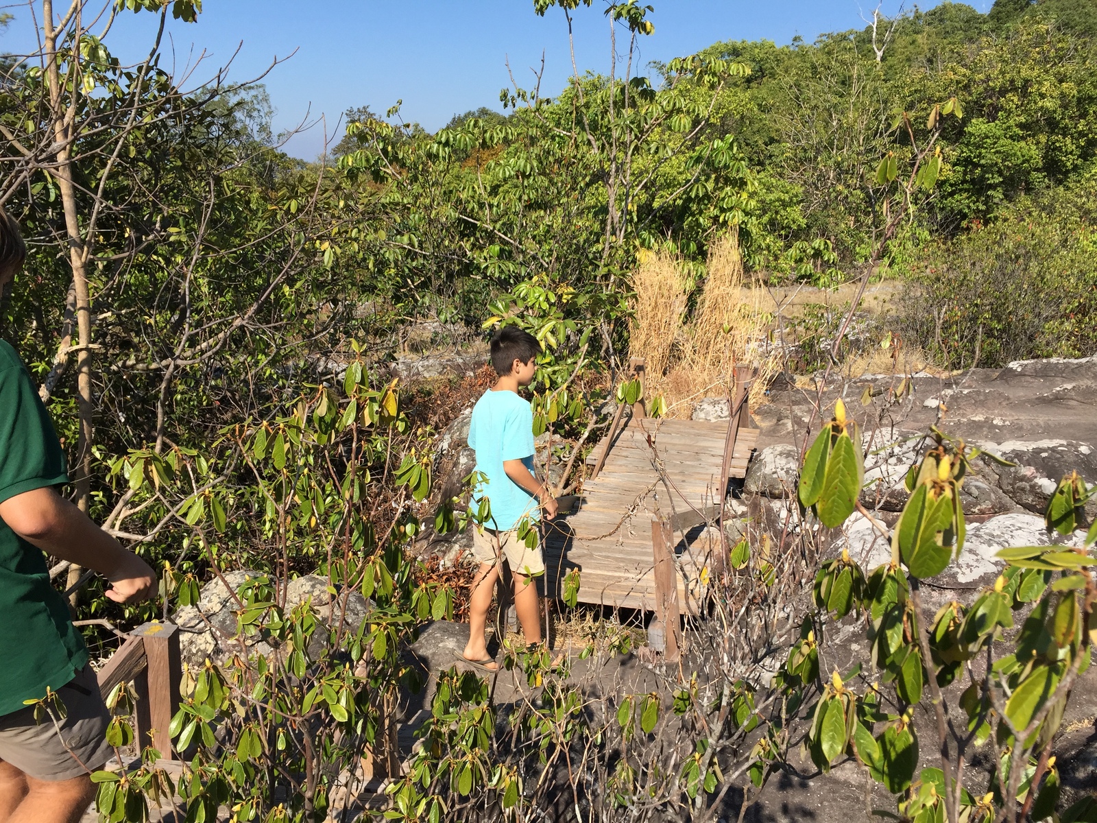 照片 泰国(Thailand) 普欣隆卡国家公园(Phu Hin Rong Kla National Park) 2014-12 265