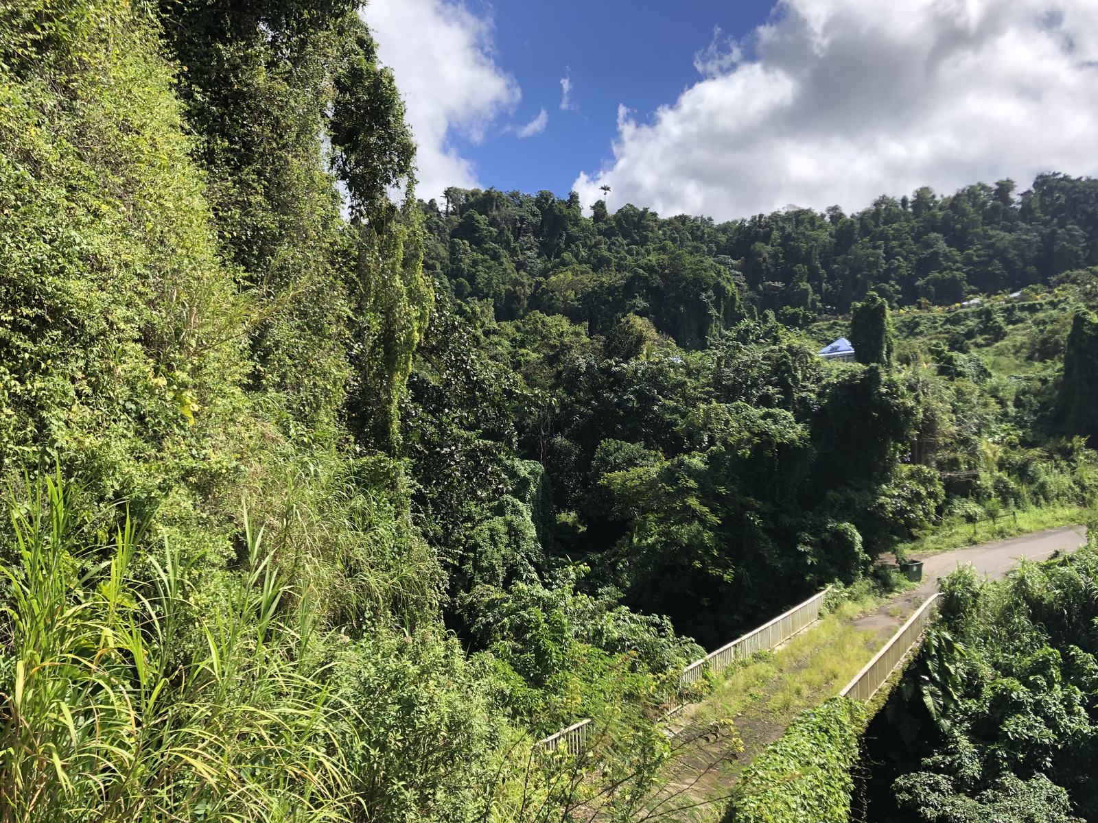 照片 瓜德罗普(Guadeloupe) 大苏弗里耶尔火山(La Grande Soufriere) 2021-02 16
