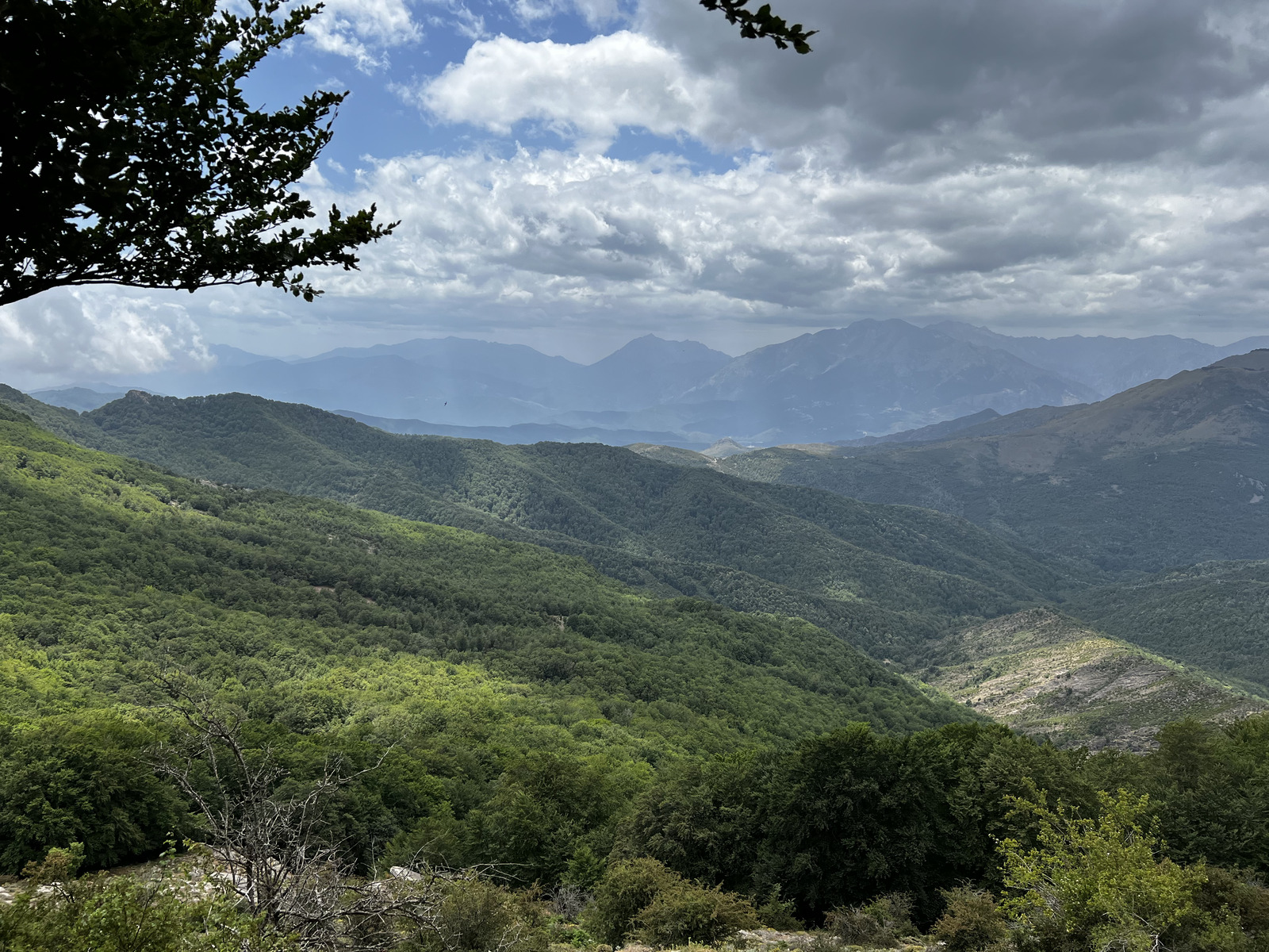 照片 法国(France) 科西嘉岛(Corsica) 卡莱鲁丘山屋(Refuge de Callerucciu) 2022-06 1