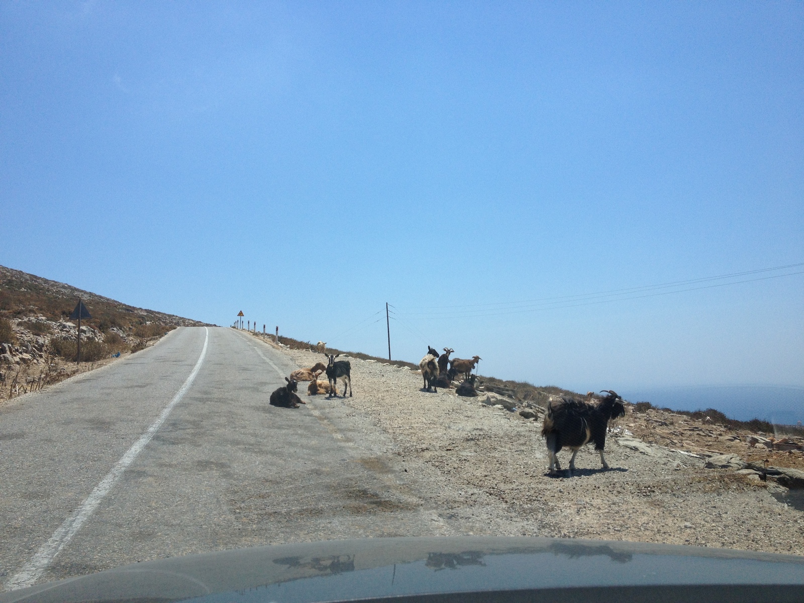 照片 希腊(Greece) 阿莫尔戈斯岛(Amorgos) 2014-07 227