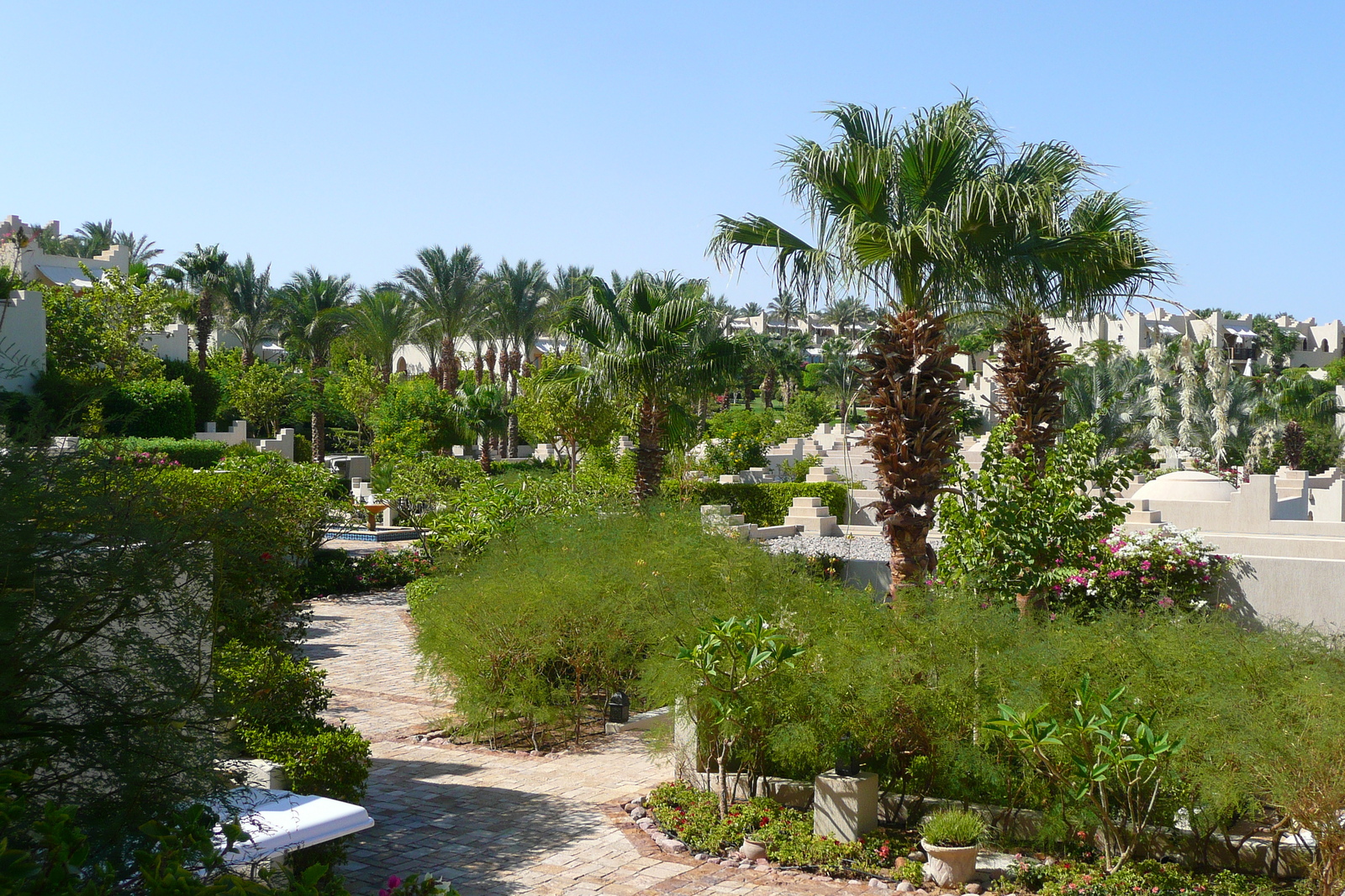 照片 埃及(Egypt) 沙姆沙伊赫(Sharm el Sheikh) 四季酒店(Four Seasons Hotel) 2008-06 73