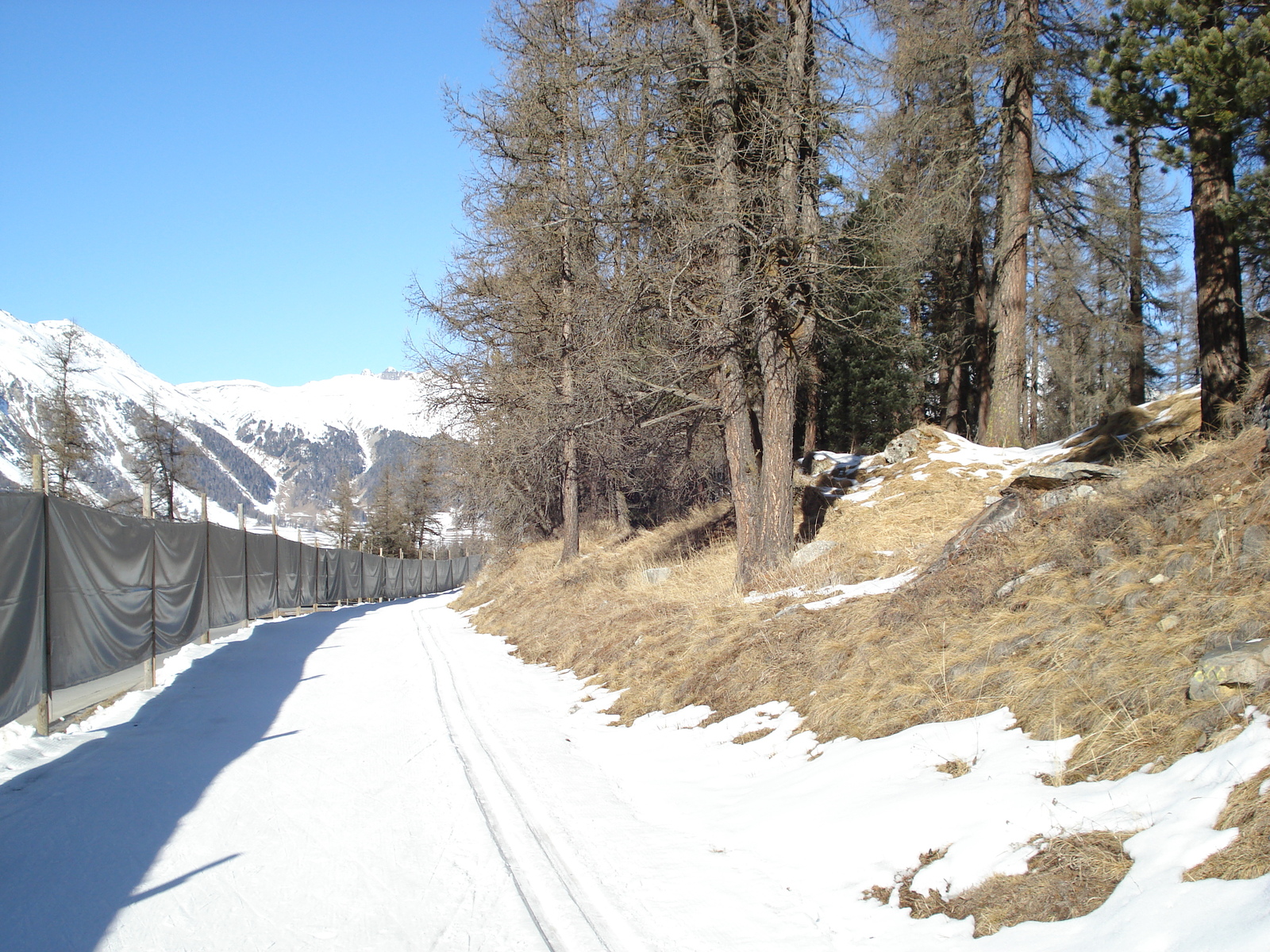 照片 瑞士(Switzerland) 蓬特雷西纳(Pontresina) 2007-01 138