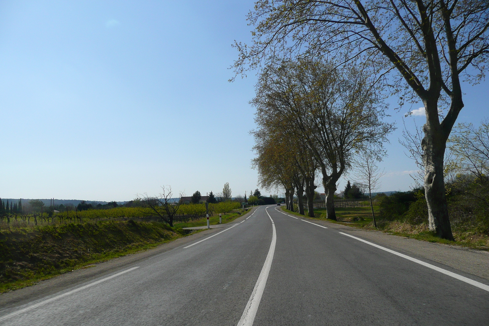 照片 法国(France) 普罗旺斯(Provence) 前往阿莱斯的公路(road to Ales) 2008-04 8