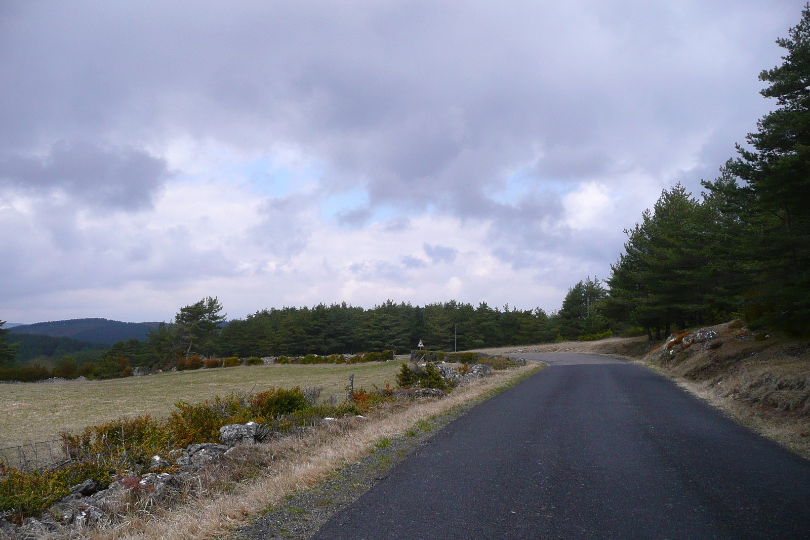 照片 法国(France) 奥布拉克(L'Aubrac) 2008-04 103
