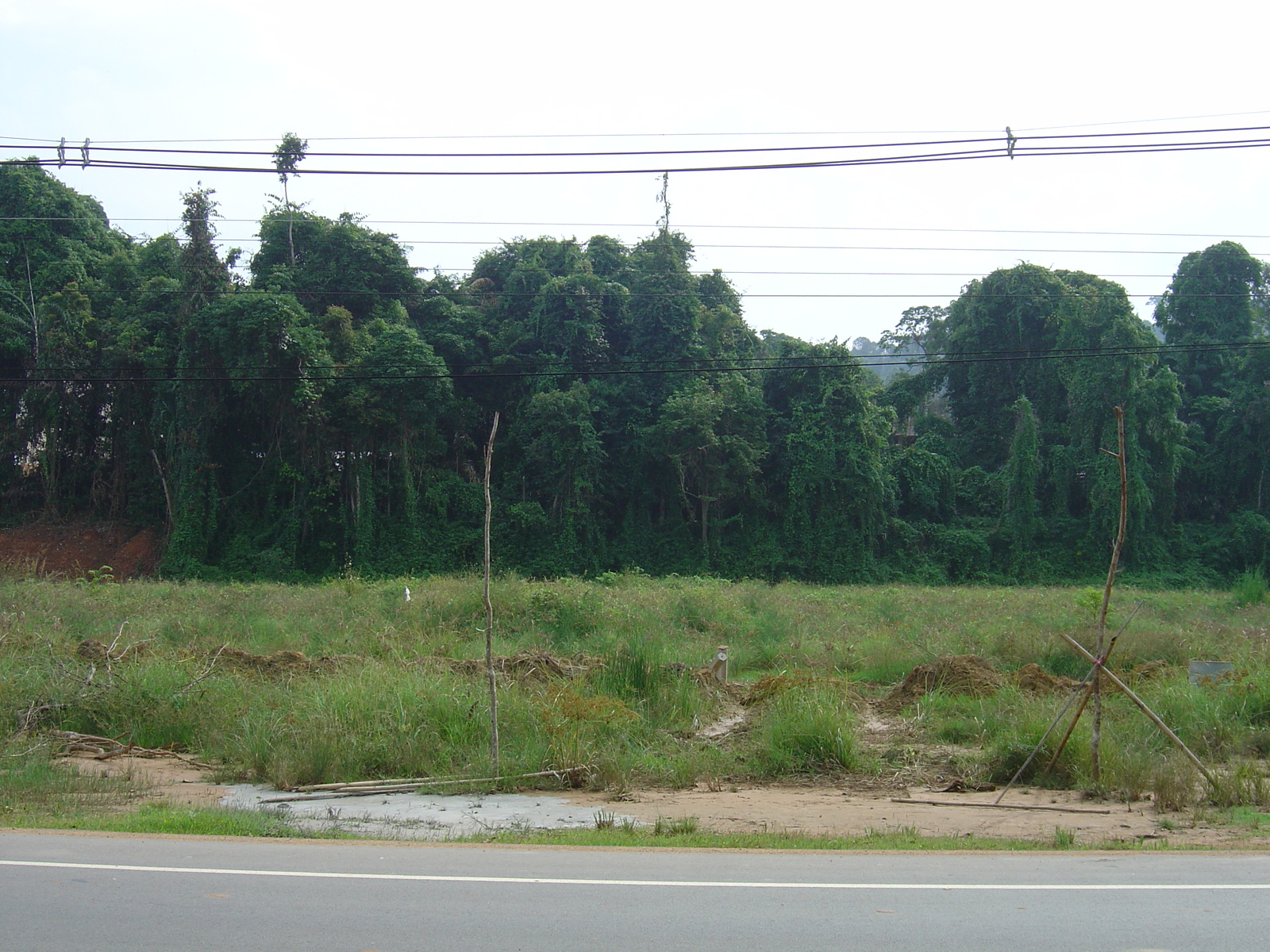 照片 泰国(Thailand) 考拉(Khao Lak) 邦萨海滩(Bang Sak Beach) 2005-12 73