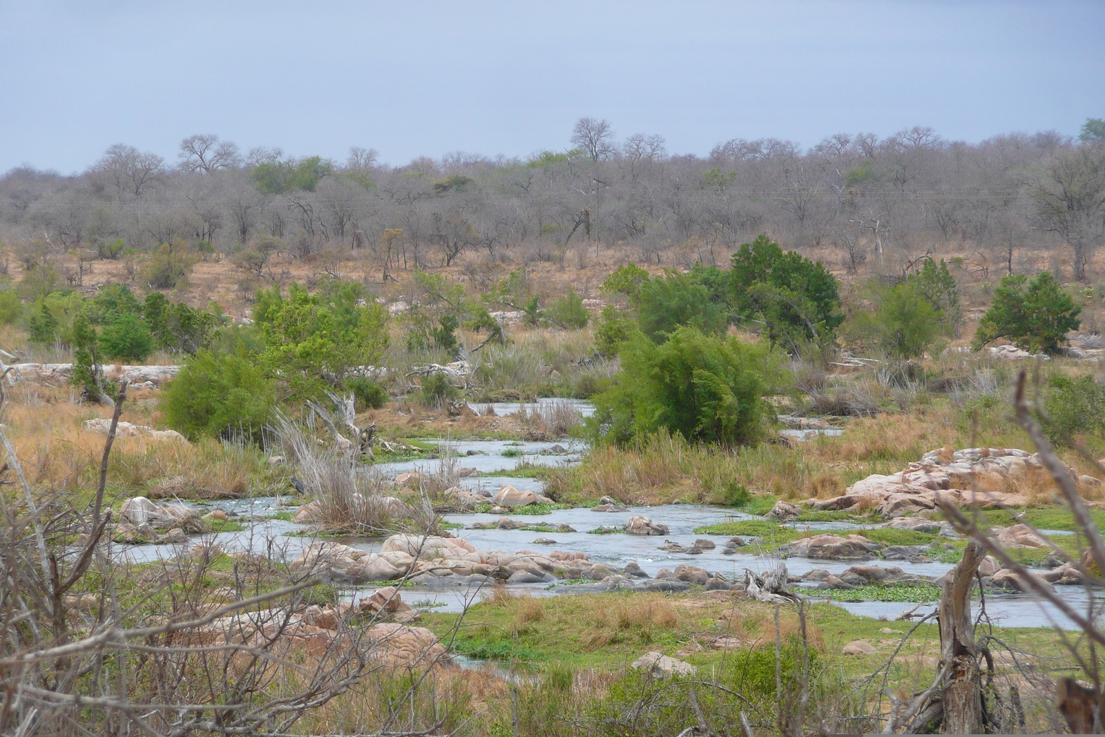 照片 南非(South Africa) 克鲁格国家公园(Kruger National Park) 鳄鱼河(Crocodile River) 2008-09 43