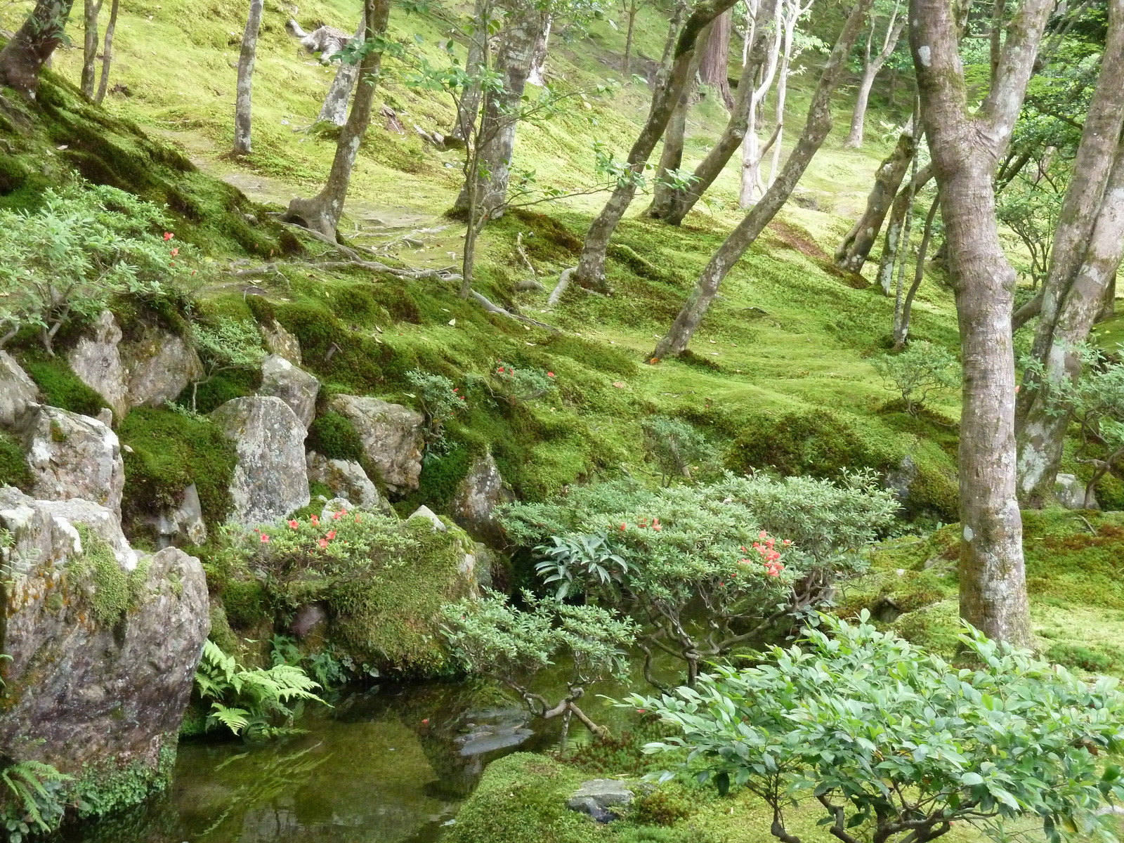 照片 日本(Japan) 京都(Kyoto) 银阁寺(Ginkakuji Temple(Silver Pavilion)) 2010-06 19