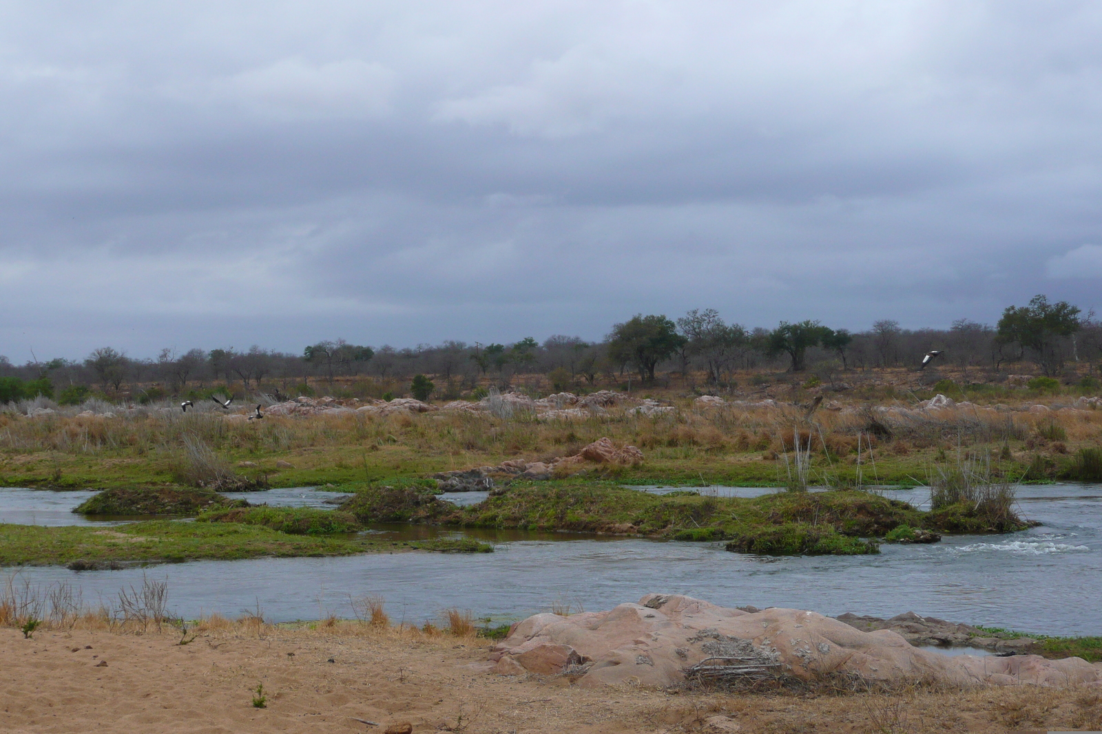 照片 南非(South Africa) 克鲁格国家公园(Kruger National Park) 鳄鱼河(Crocodile River) 2008-09 27