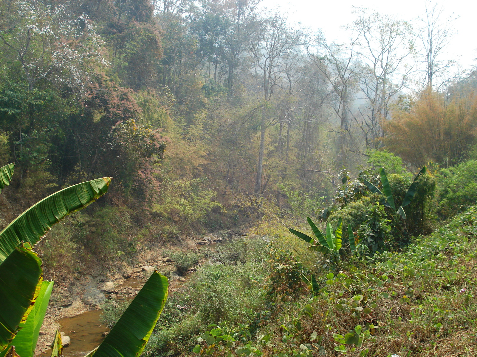 照片 泰国(Thailand) 邦玛帕至拜县公路(Pang Mapha to Pai road) 2007-02 20