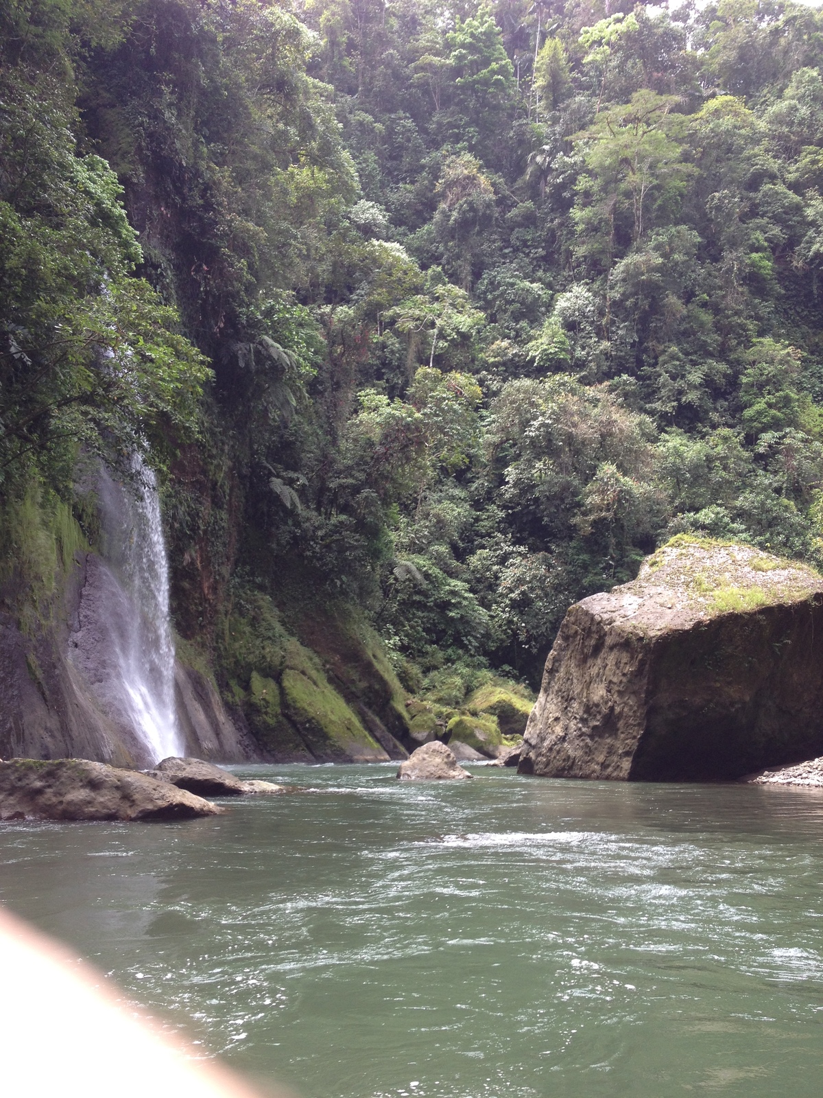 照片 哥斯达黎加(Costa Rica) 帕夸雷河(Pacuare River) 2015-03 98