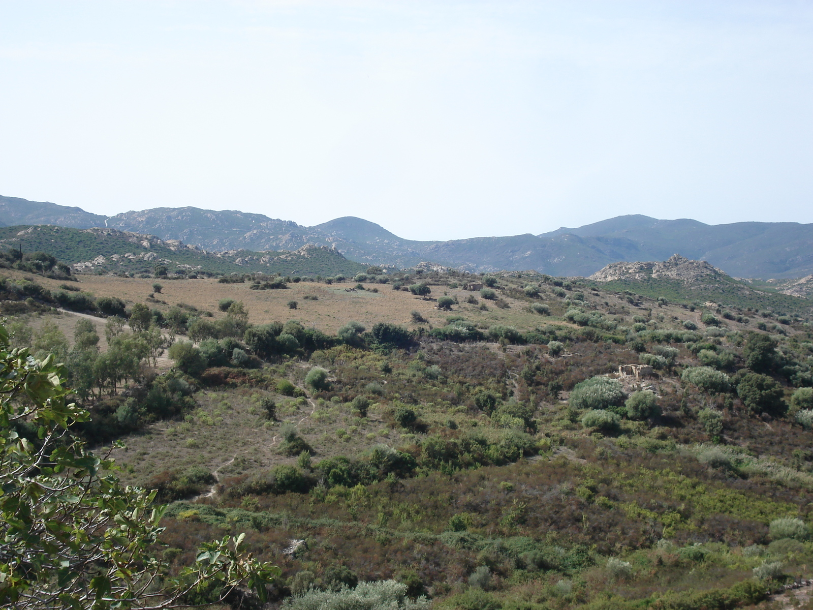 照片 法国(France) 科西嘉岛(Corsica) 阿格里亚特荒漠(Agriates Desert) 2006-09 28