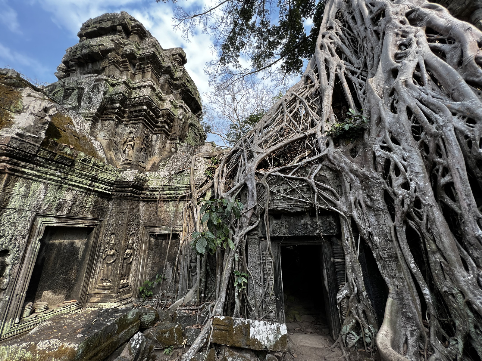 照片 柬埔寨(Cambodia) 暹粒(Siem Reap) 塔布茏寺(Ta Prohm) 2023-01 57