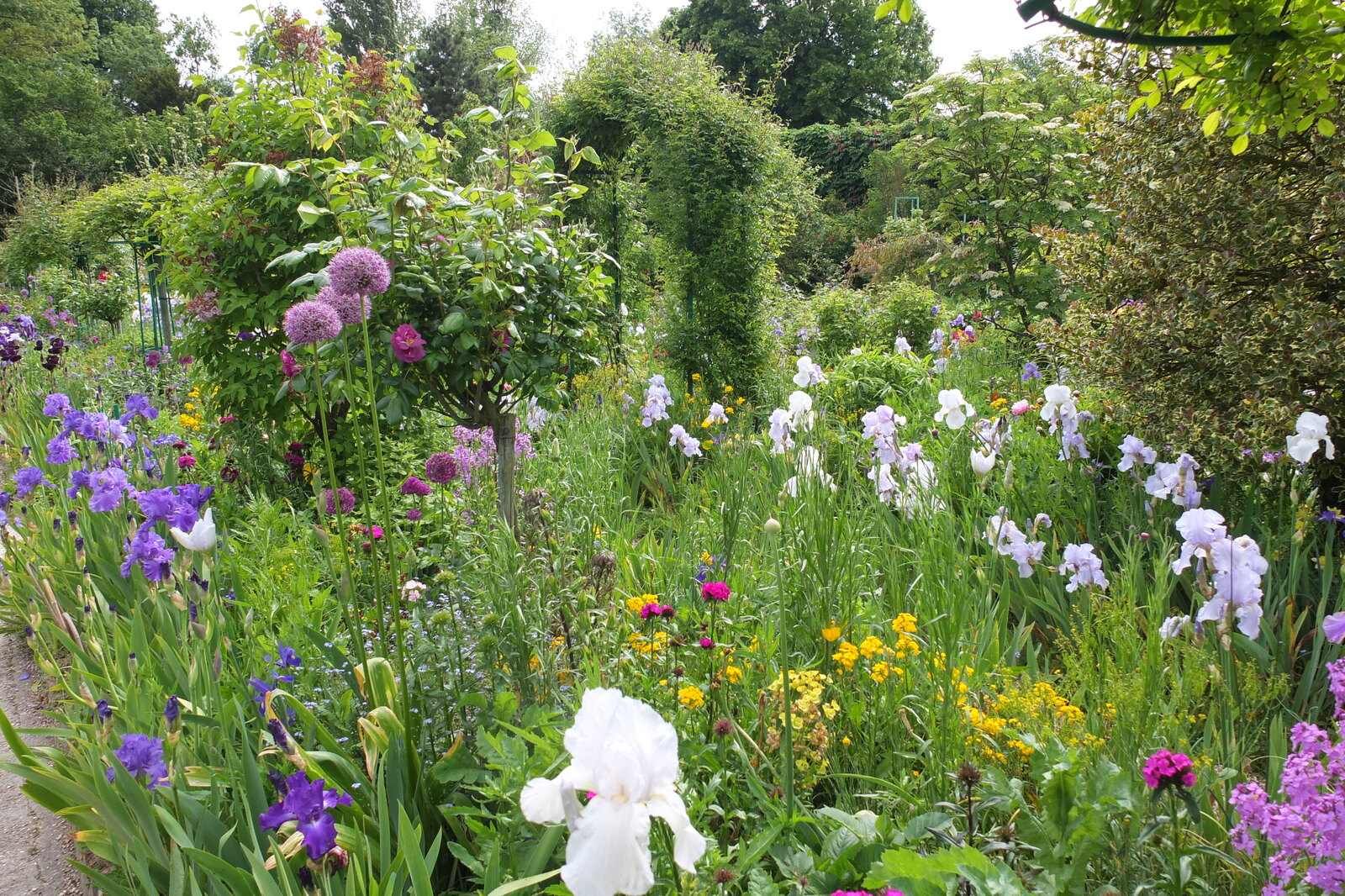 照片 法国(France) 吉维尼(Giverny) 2013-06 7