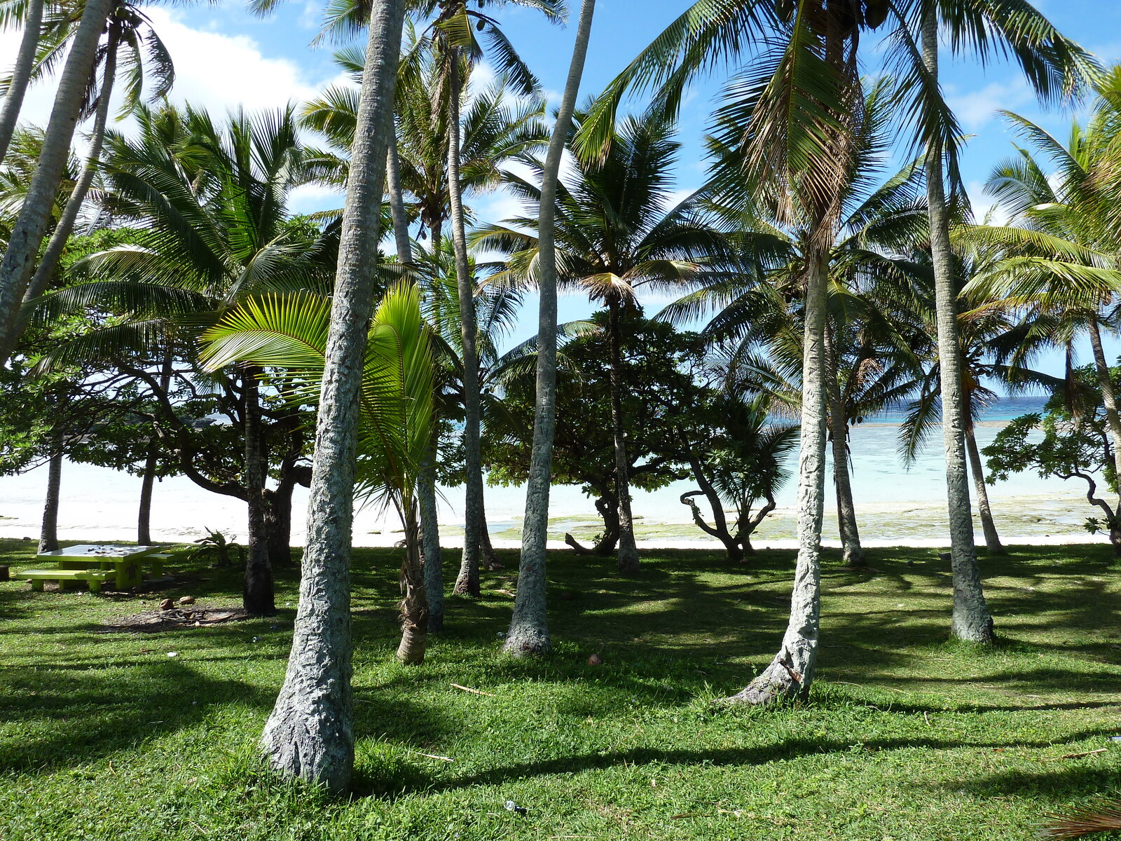 照片 新喀里多尼亚(New Caledonia) 利富岛(Lifou) 2010-05 8