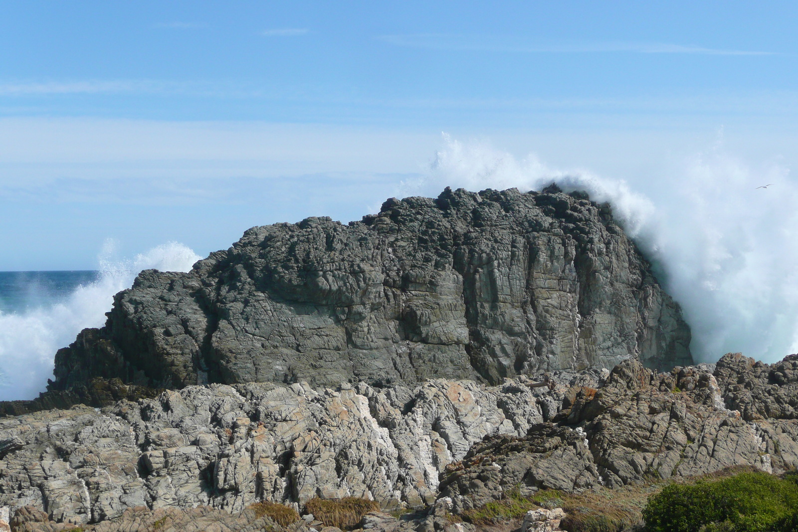 照片 南非(South Africa) 齐齐卡马国家公园(Tsitsikamma National Park) 2008-09 74