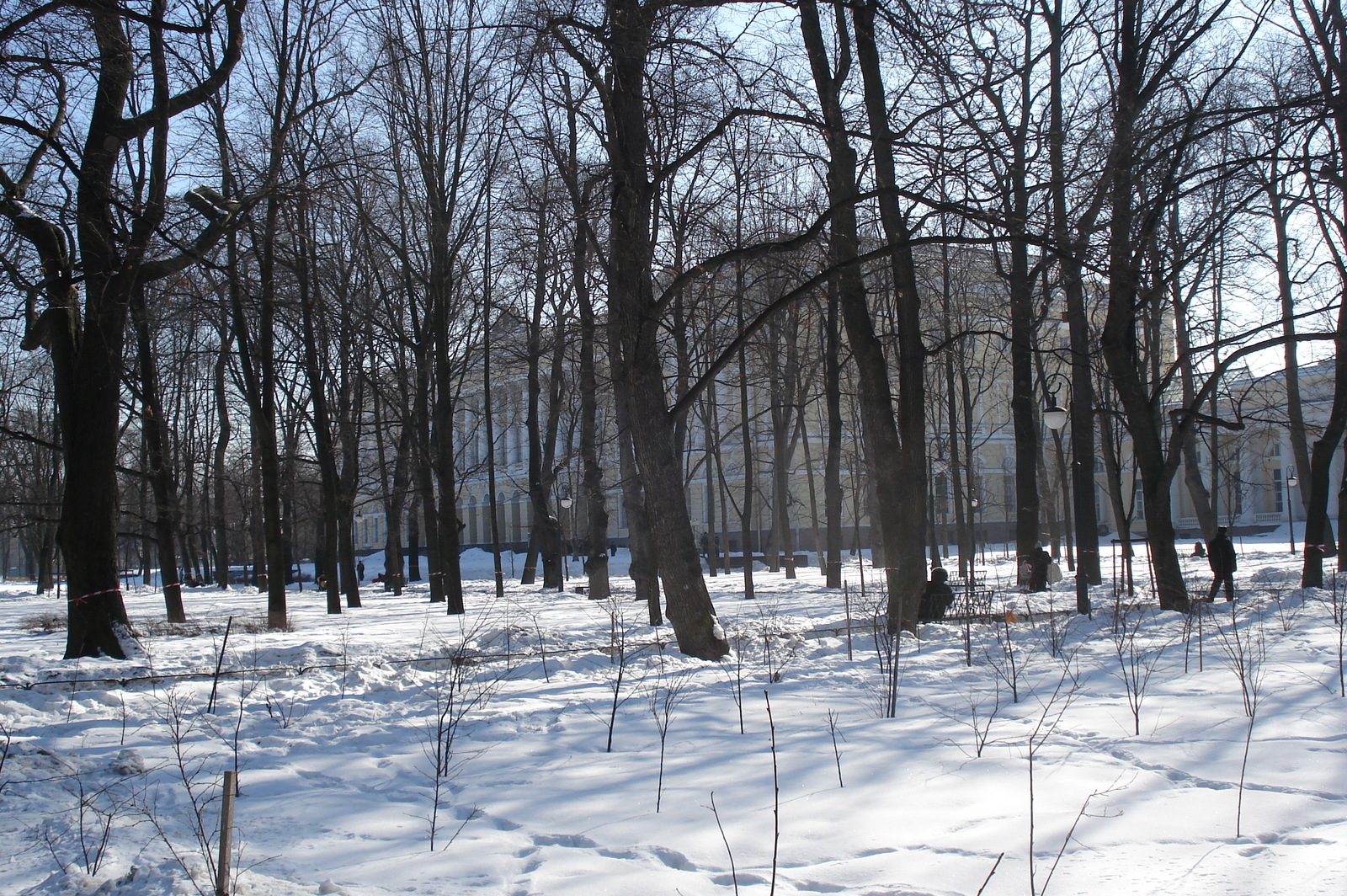 照片 俄罗斯(Russia) 圣彼得堡(St Petersburg) 战神广场(Marsovo Pole) 2006-03 20