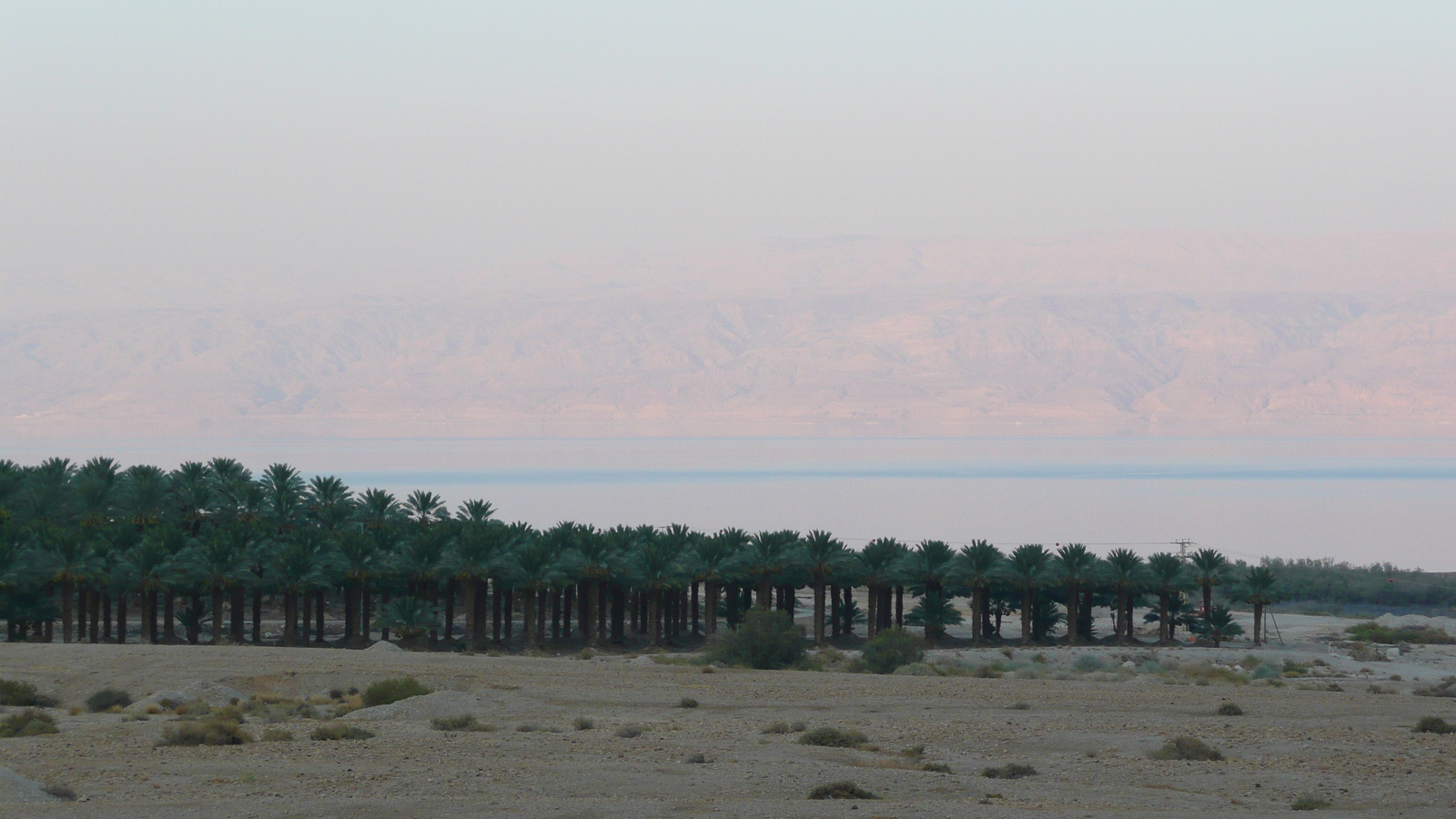 照片 以色列(Israel) 死海(Dead Sea) 2007-06 91
