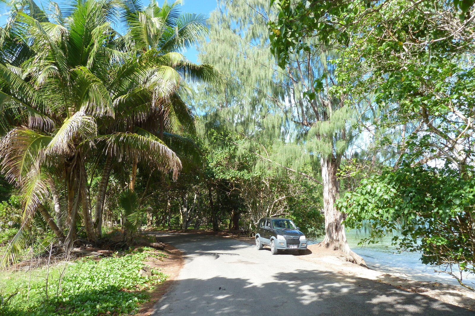 照片 塞舌尔(Seychelles) 普拉兰岛(Praslin) 2011-10 113