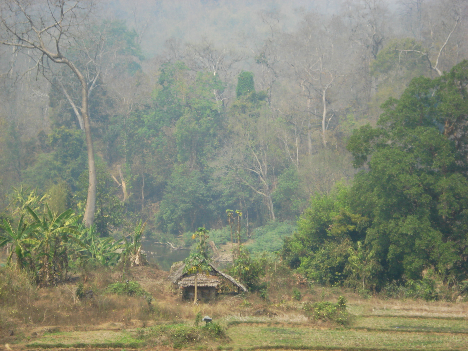 照片 泰国(Thailand) 邦玛帕(Pang Mapha) 2007-02 2
