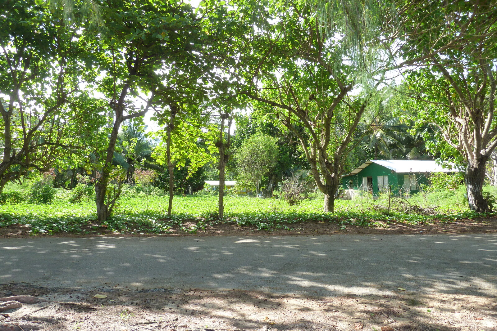 照片 塞舌尔(Seychelles) 普拉兰岛(Praslin) 2011-10 98