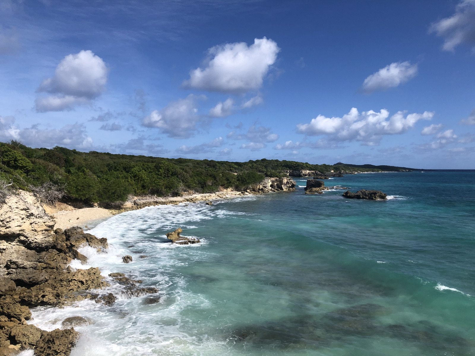 照片 瓜德罗普(Guadeloupe) 圣弗朗索瓦(Saint Francois) 2021-02 20