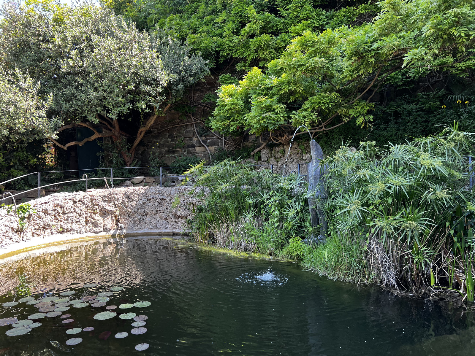 照片 意大利(Italy) 佛罗伦萨(Florence) 2022-05 53
