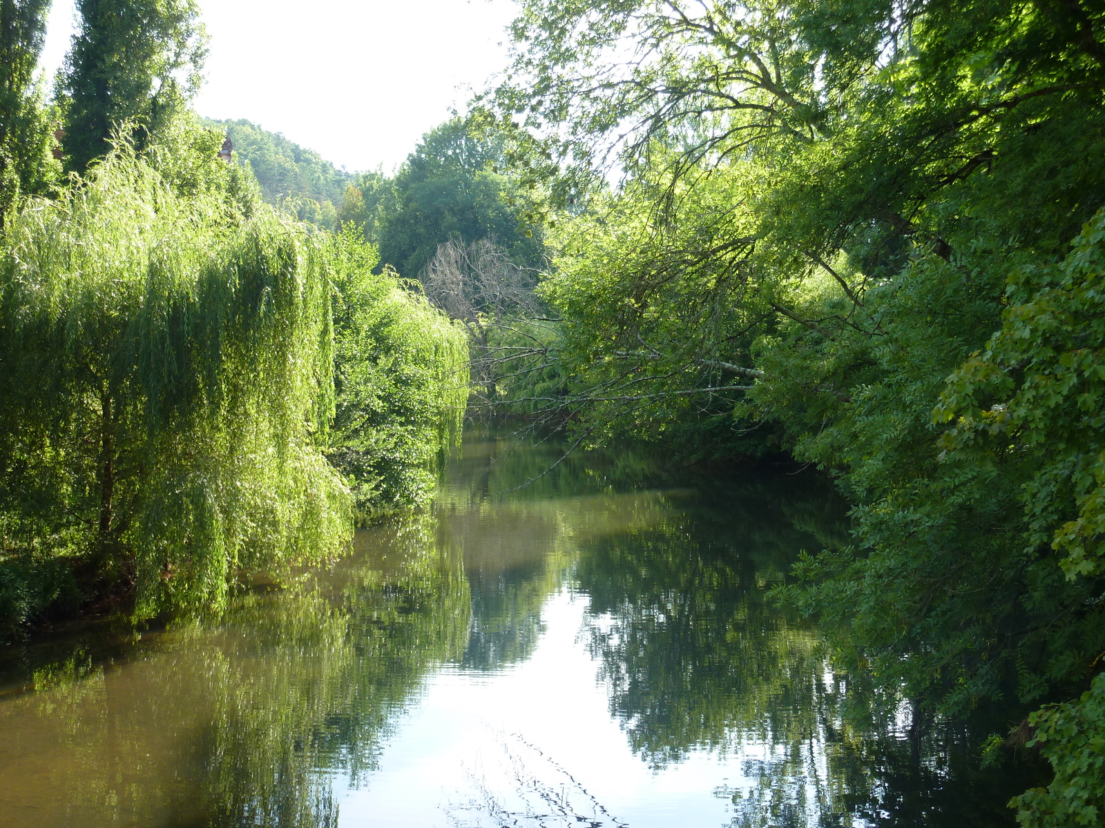 照片 法国(France) 布朗托姆(Brantome) 2009-07 116