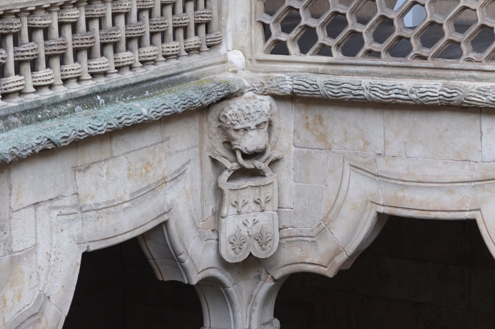 照片 西班牙(Spain) 萨拉曼卡(Salamanca) 2013-01 176
