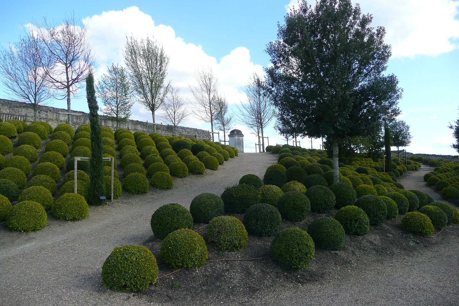 照片 法国(France) 昂布瓦斯(Amboise) 昂布瓦斯城堡(Amboise Castle) 2008-04 21