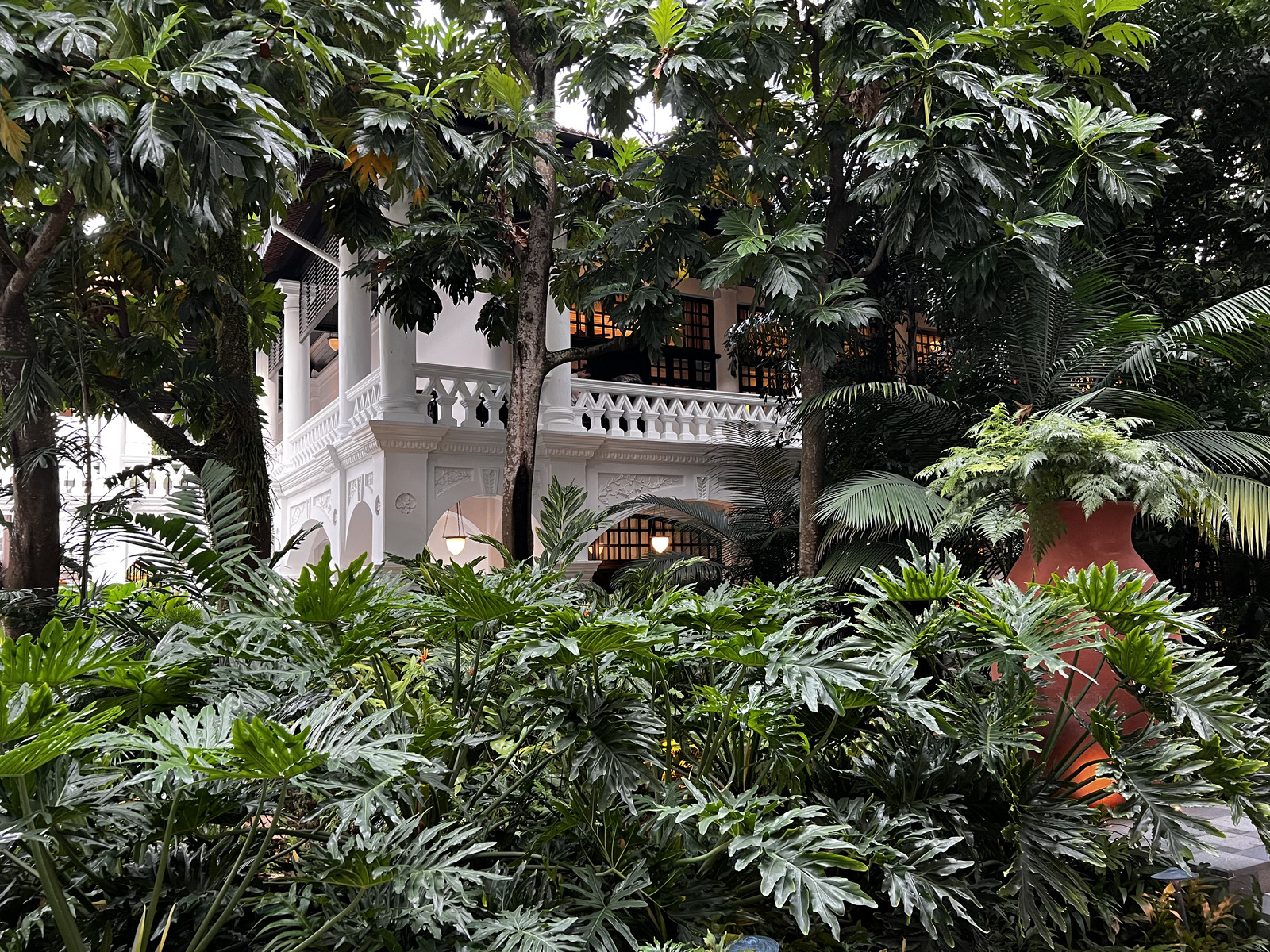 照片 新加坡(Singapore) 新加坡莱佛士酒店(Raffles Hotel Singapore) 2023-01 10