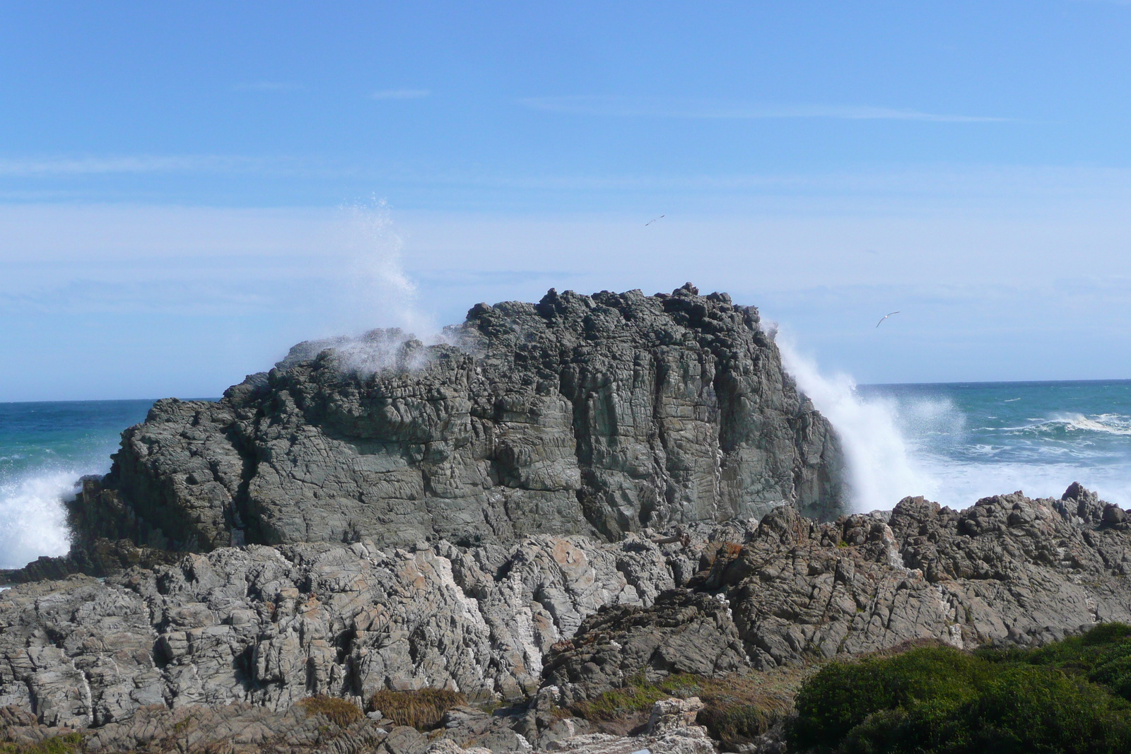 照片 南非(South Africa) 齐齐卡马国家公园(Tsitsikamma National Park) 2008-09 36
