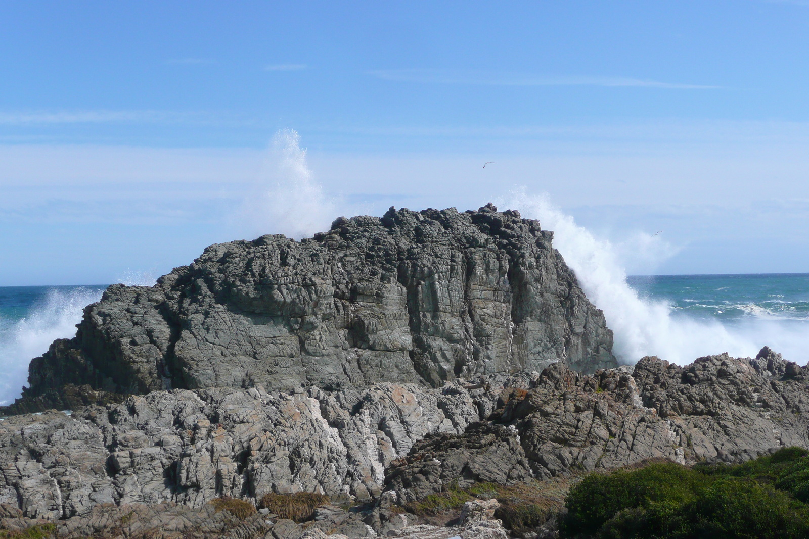 照片 南非(South Africa) 齐齐卡马国家公园(Tsitsikamma National Park) 2008-09 38