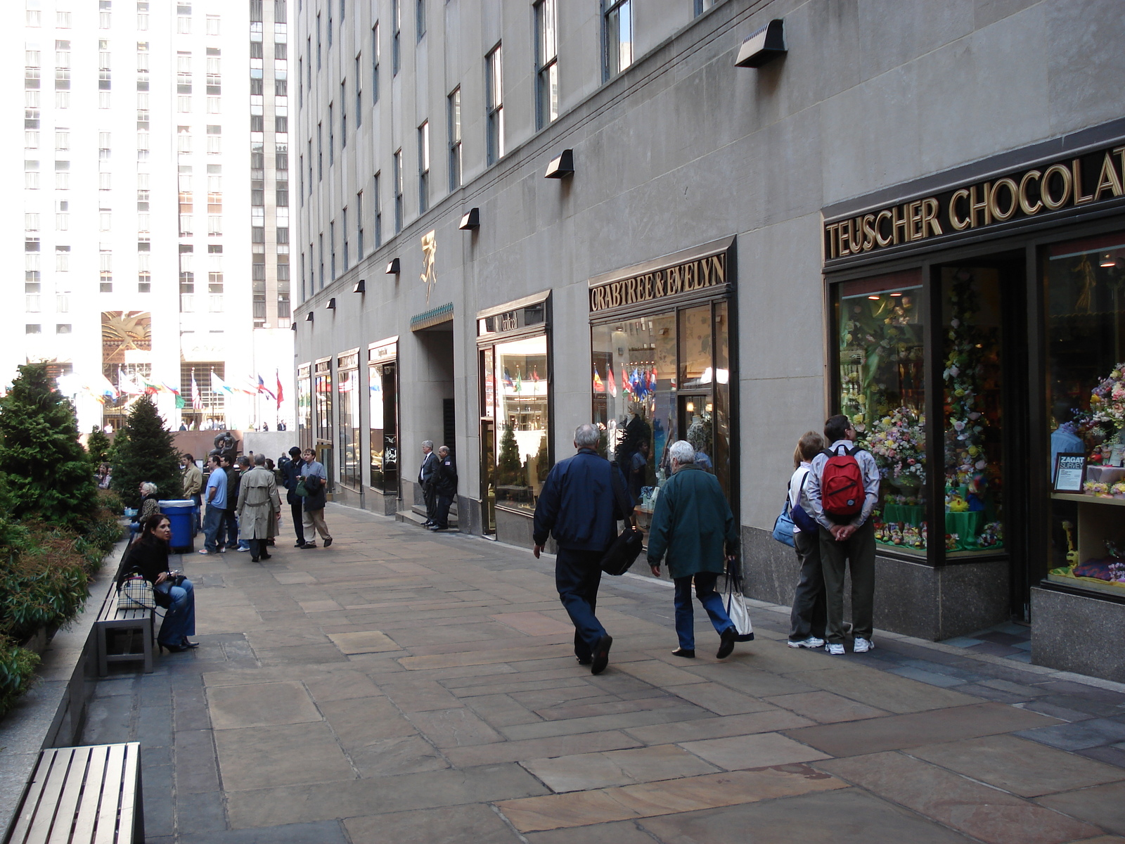 照片 美国(United States) 纽约(New York) 沿第五大道而下(down the 5th Avenue) 2006-03 17