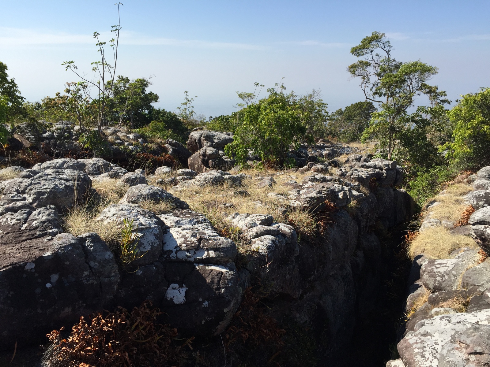 照片 泰国(Thailand) 普欣隆卡国家公园(Phu Hin Rong Kla National Park) 2014-12 214