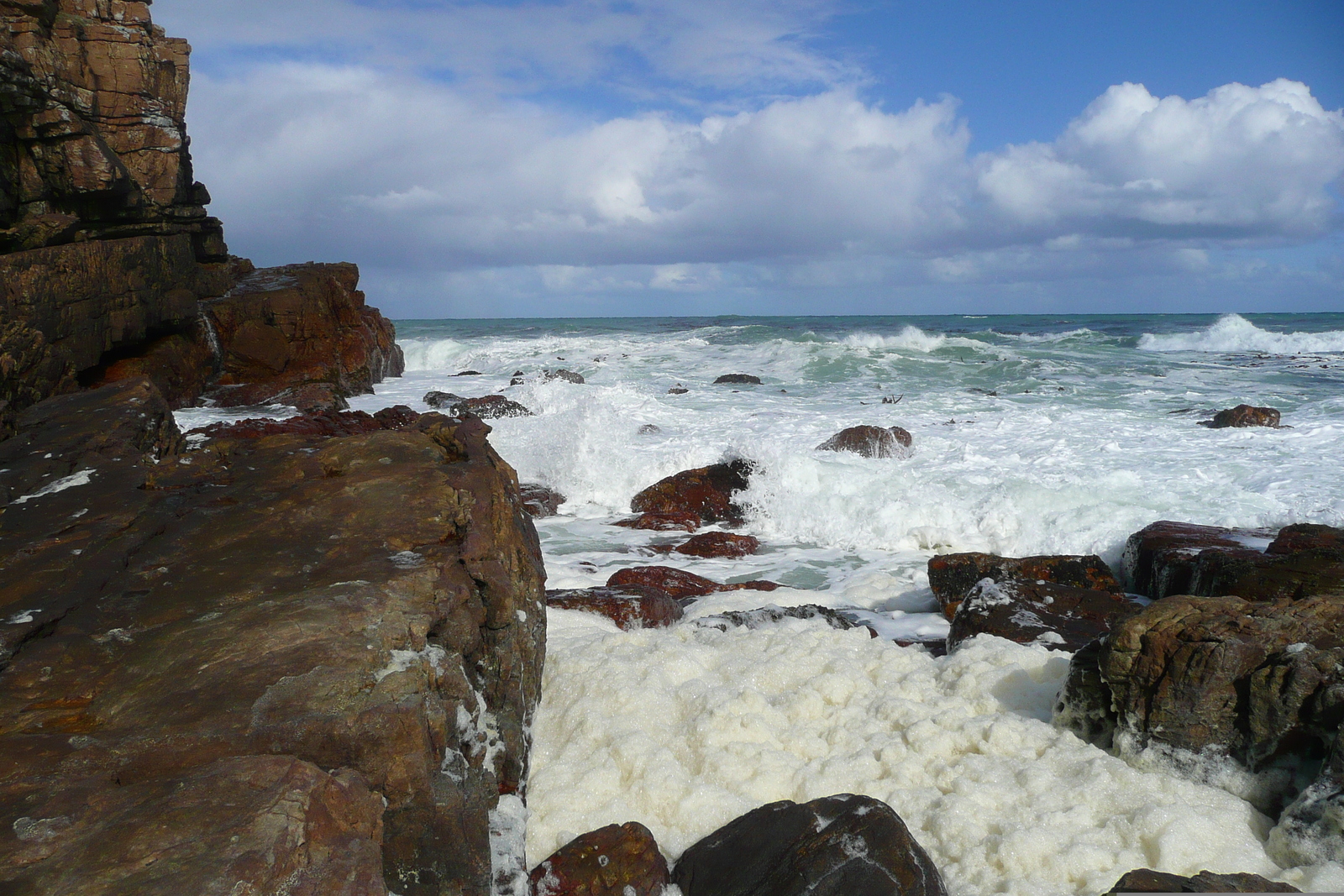 照片 南非(South Africa) 好望角(Cape of Good Hope) 开普角(Cape Point) 2008-09 39