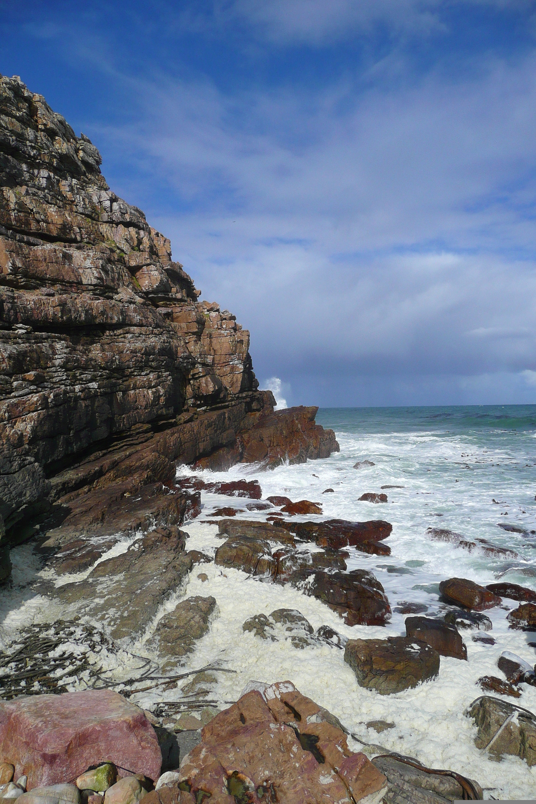 照片 南非(South Africa) 好望角(Cape of Good Hope) 开普角(Cape Point) 2008-09 48