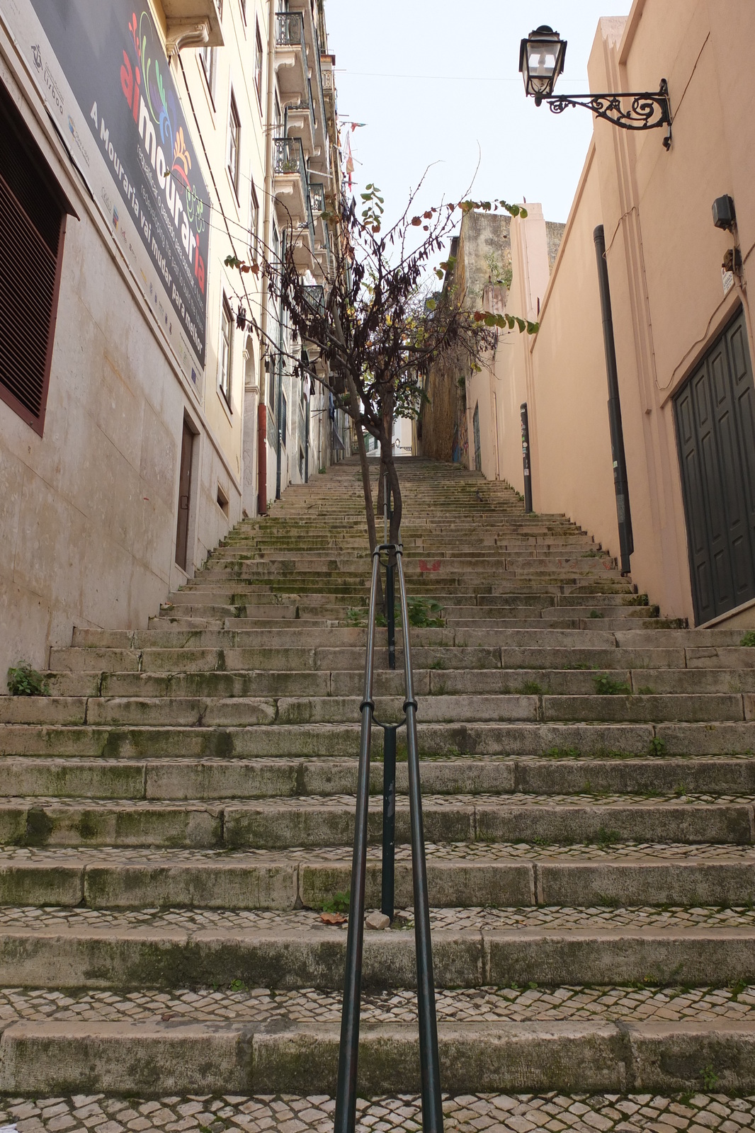 照片 葡萄牙(Portugal) 里斯本(Lisbon) 2013-01 161